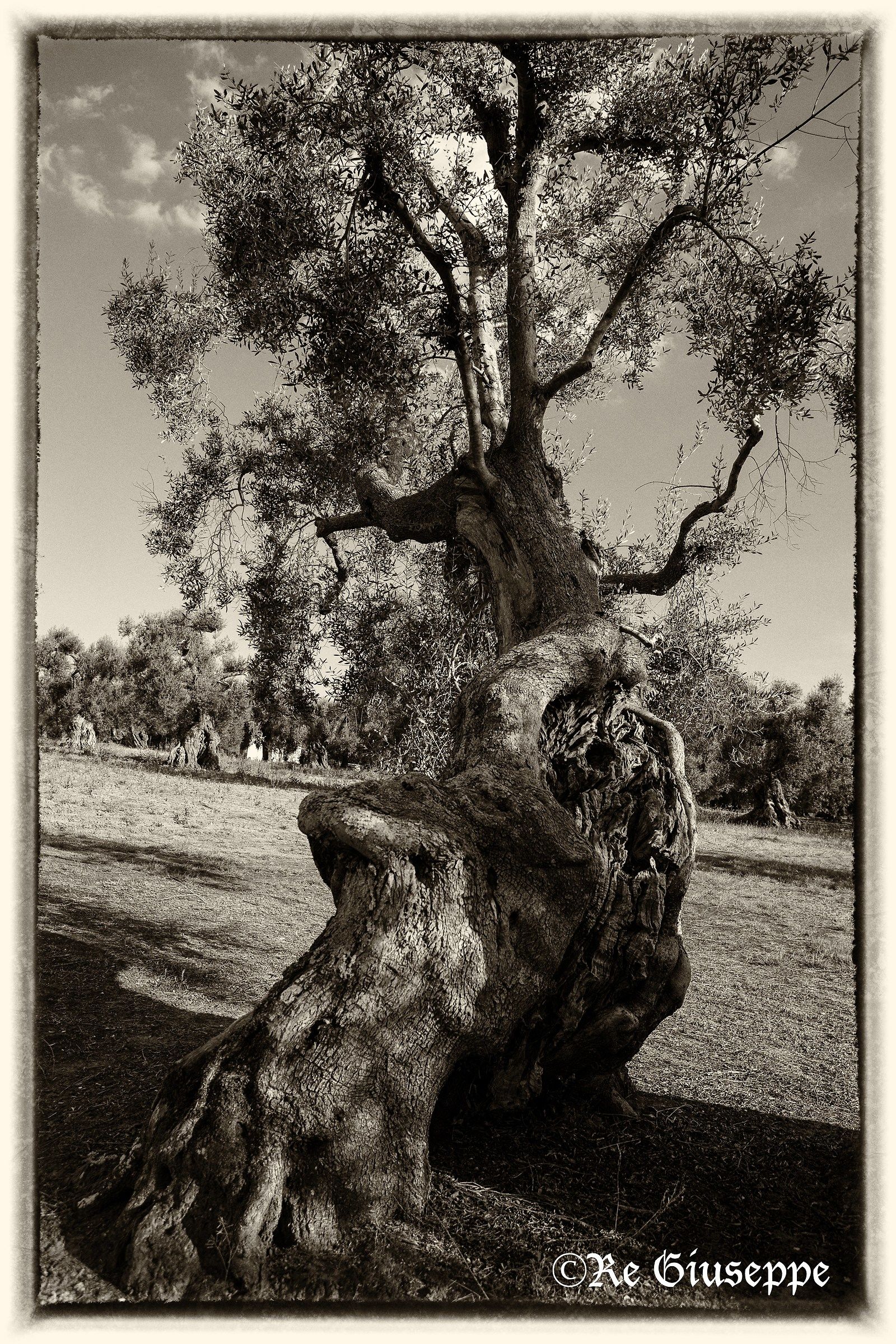 him and from there 2000 years