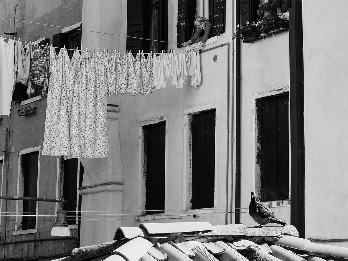 E non pensare di venire ad appollaiarti qui