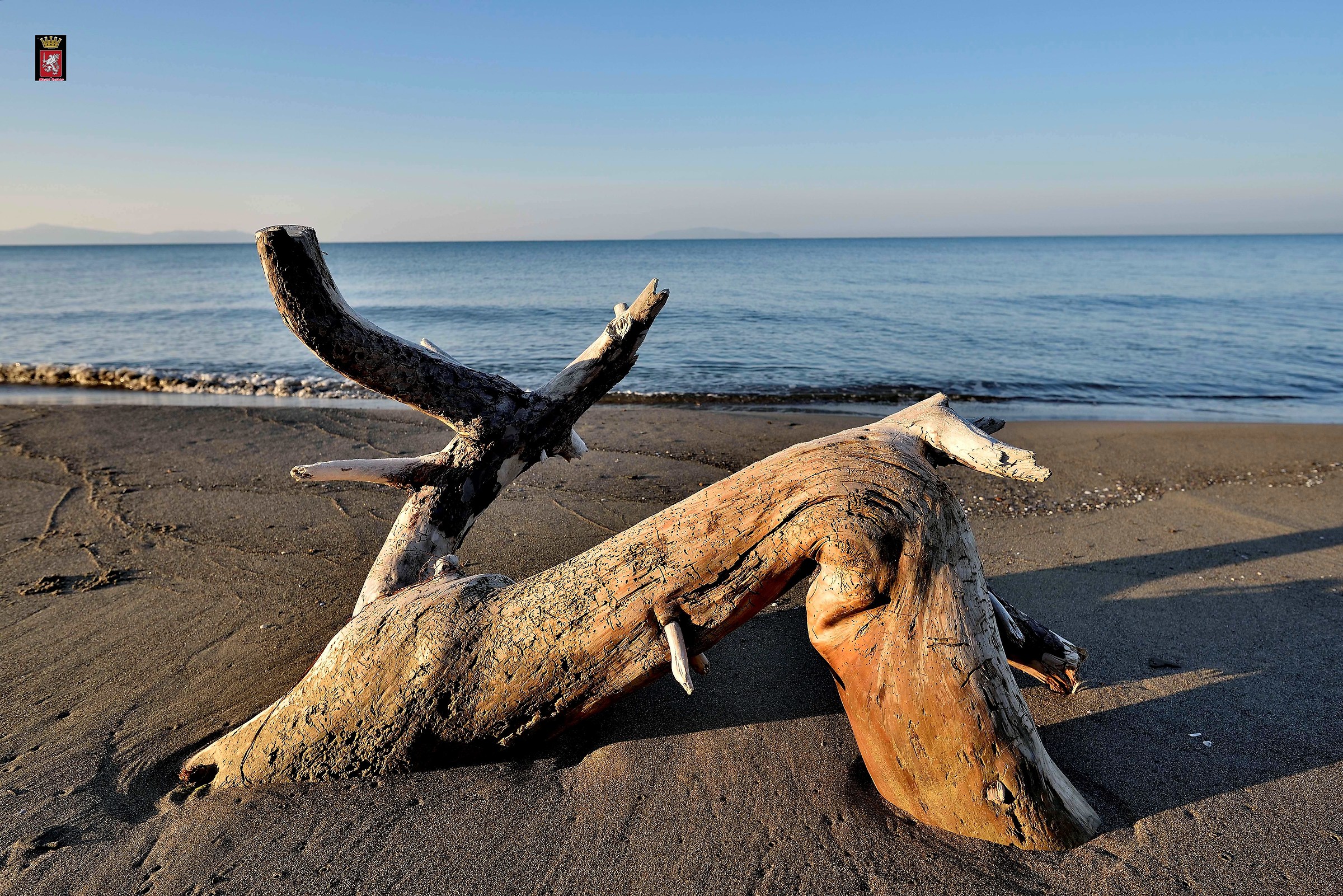 Spiaggia dell'Alberese