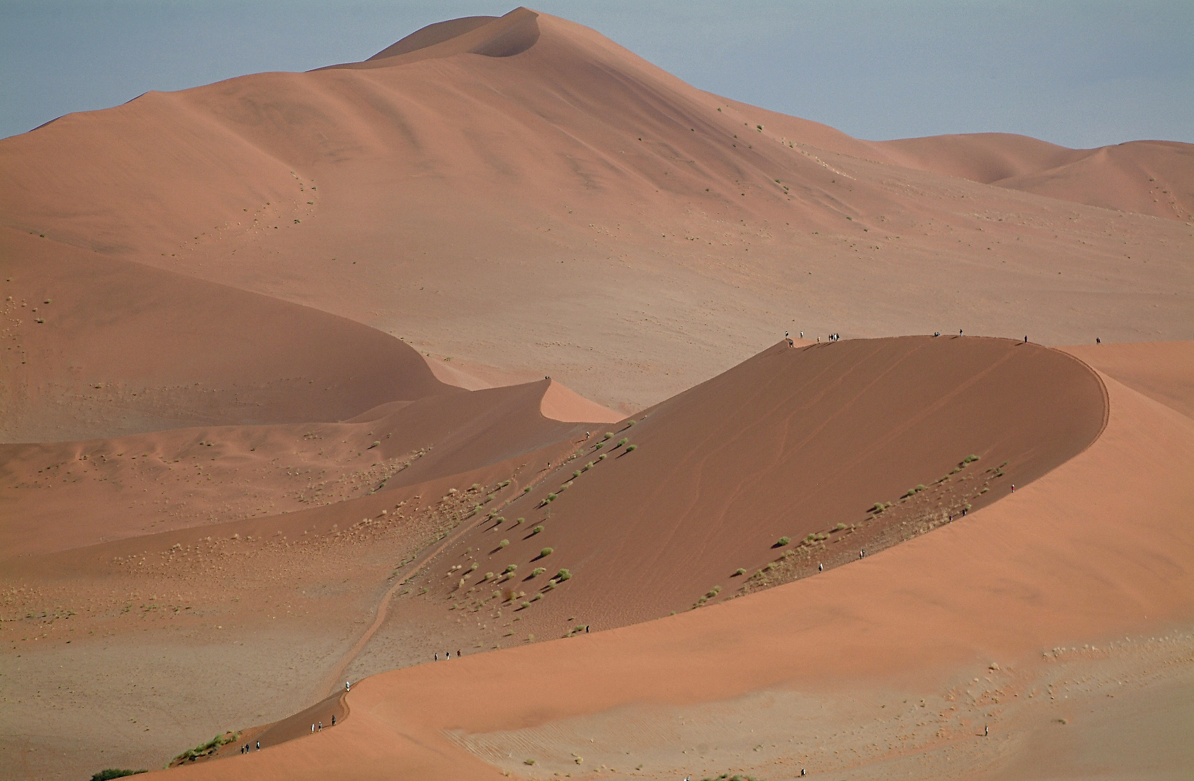 Sulle dune del Namib Desert