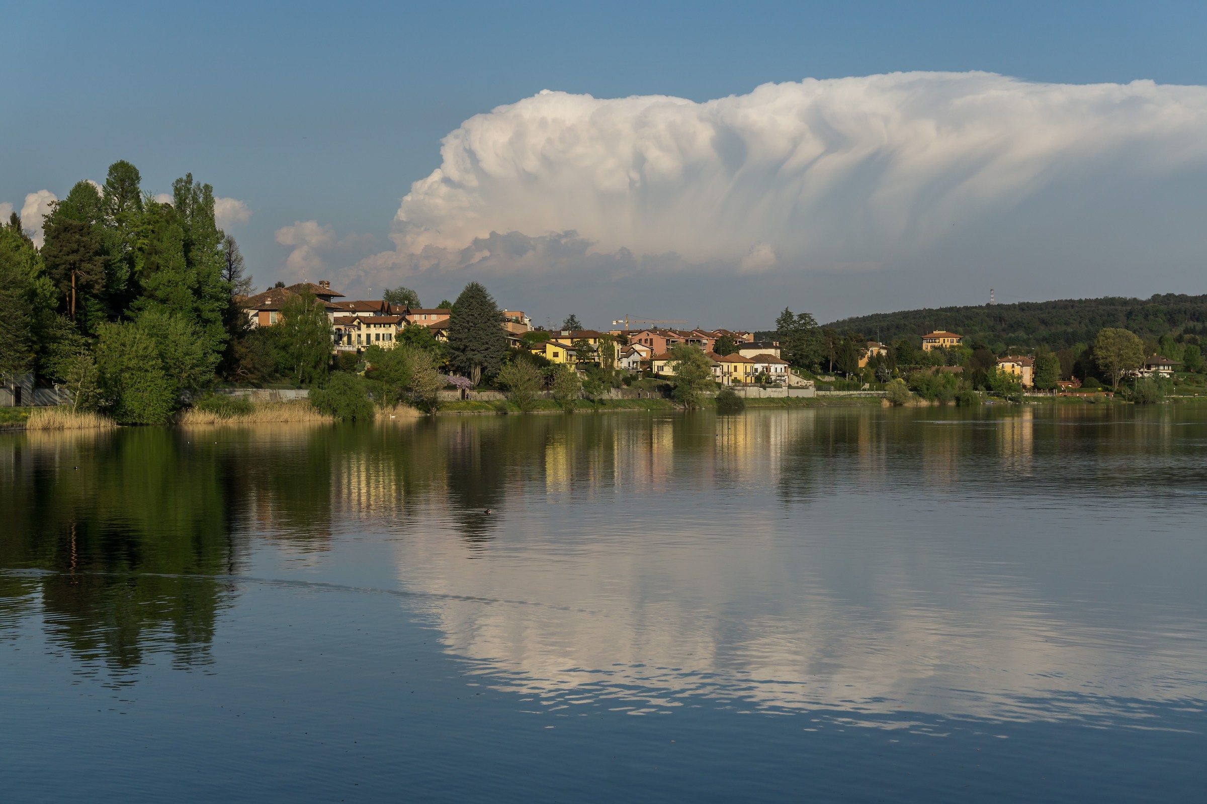 Martedì 11 aprile 2017, 18:45