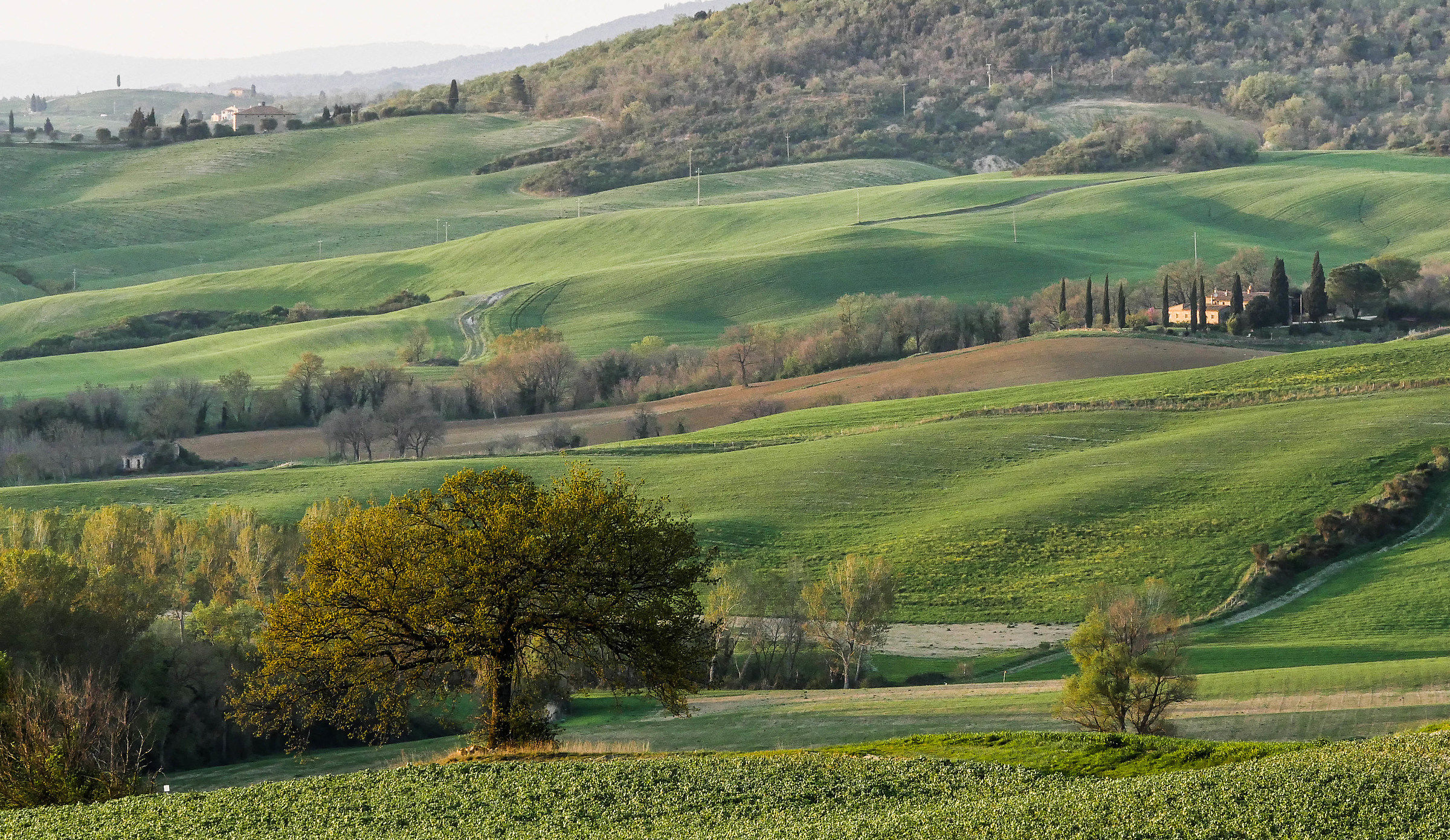 Val d'Orcia 5