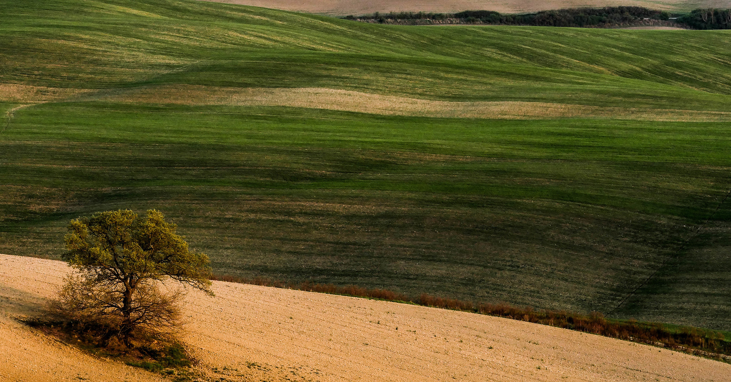 VAL d'Orcia 8