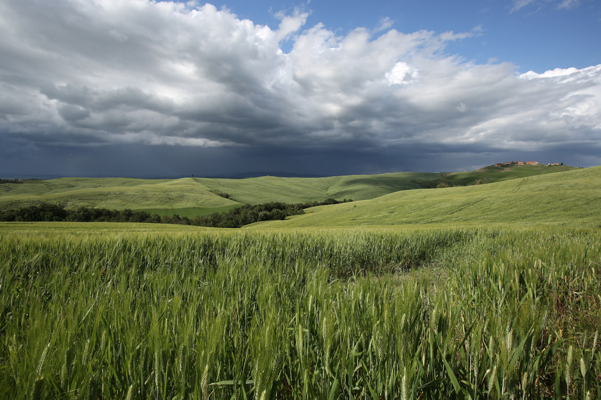 the calm after the storm