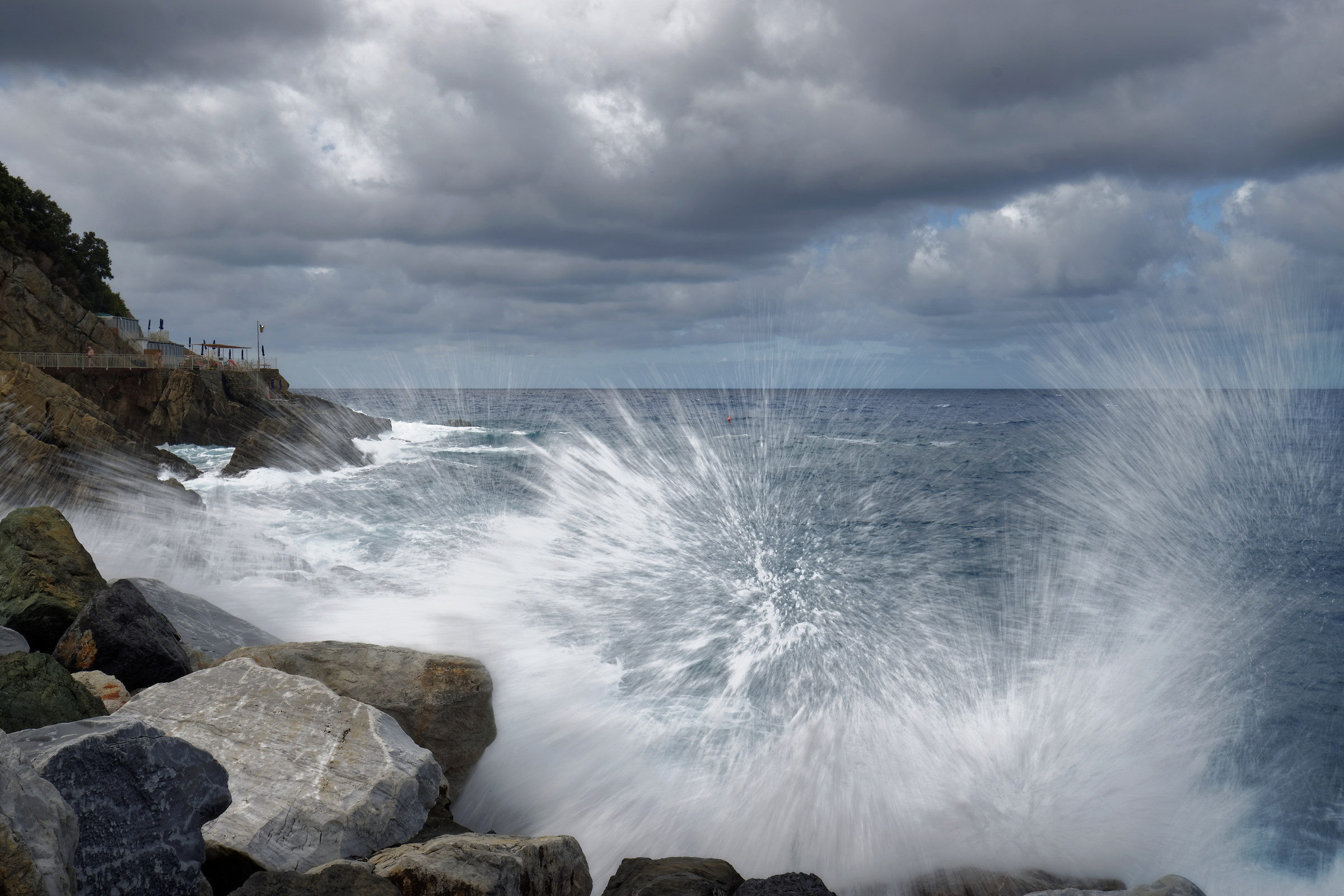 Tues impetuous Ligure