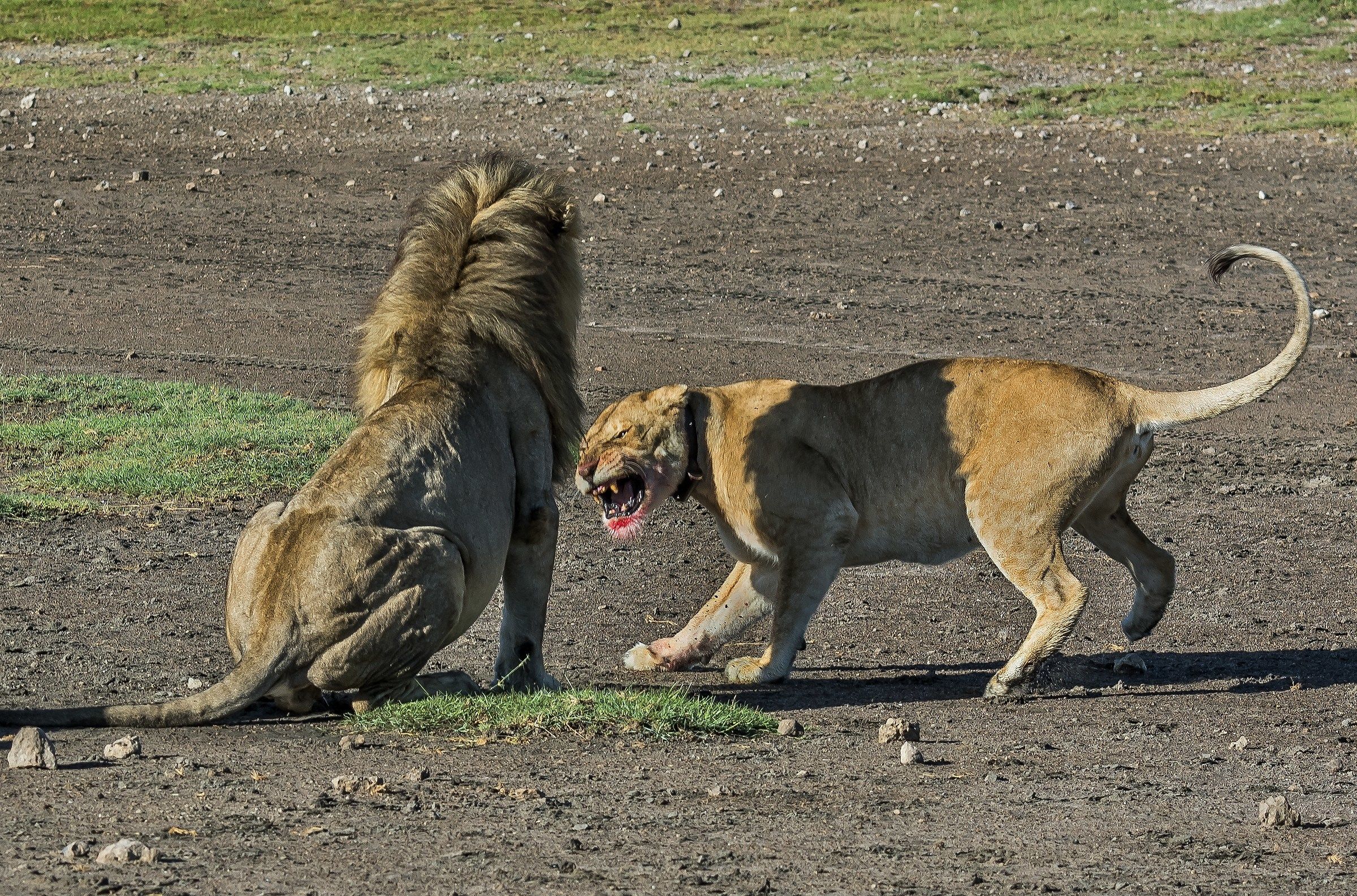Tanzania 2017 - Nervosismi