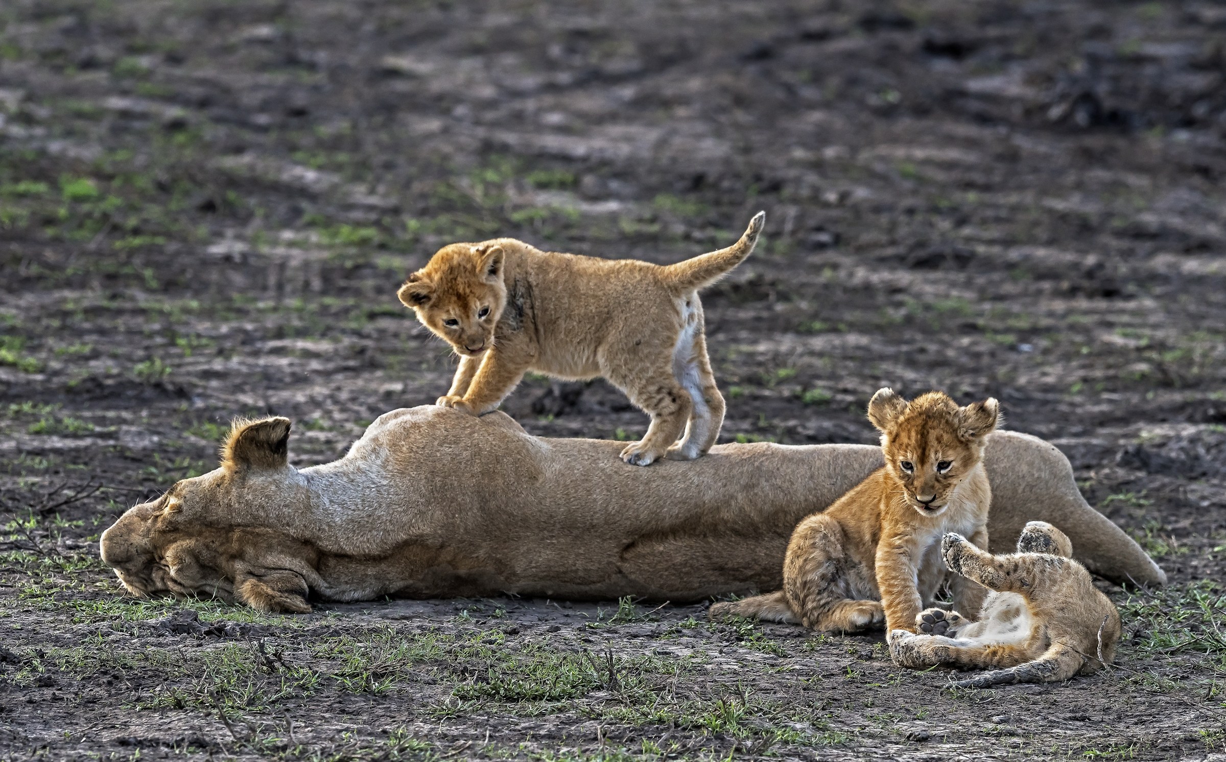 Tanzania 2017 - Con la mamma