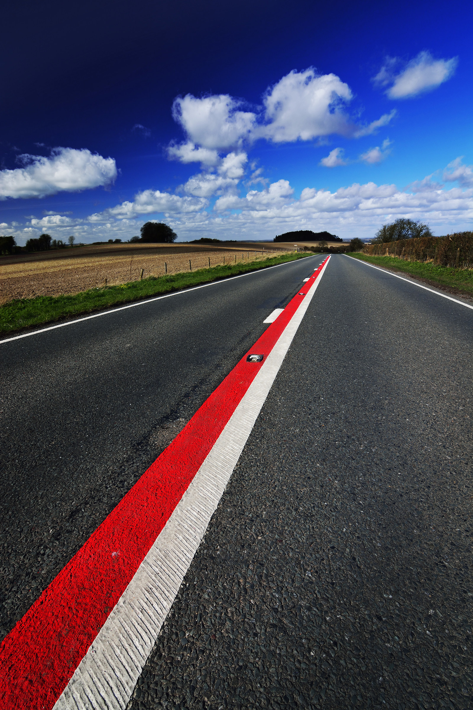 The Long Red Stripe!