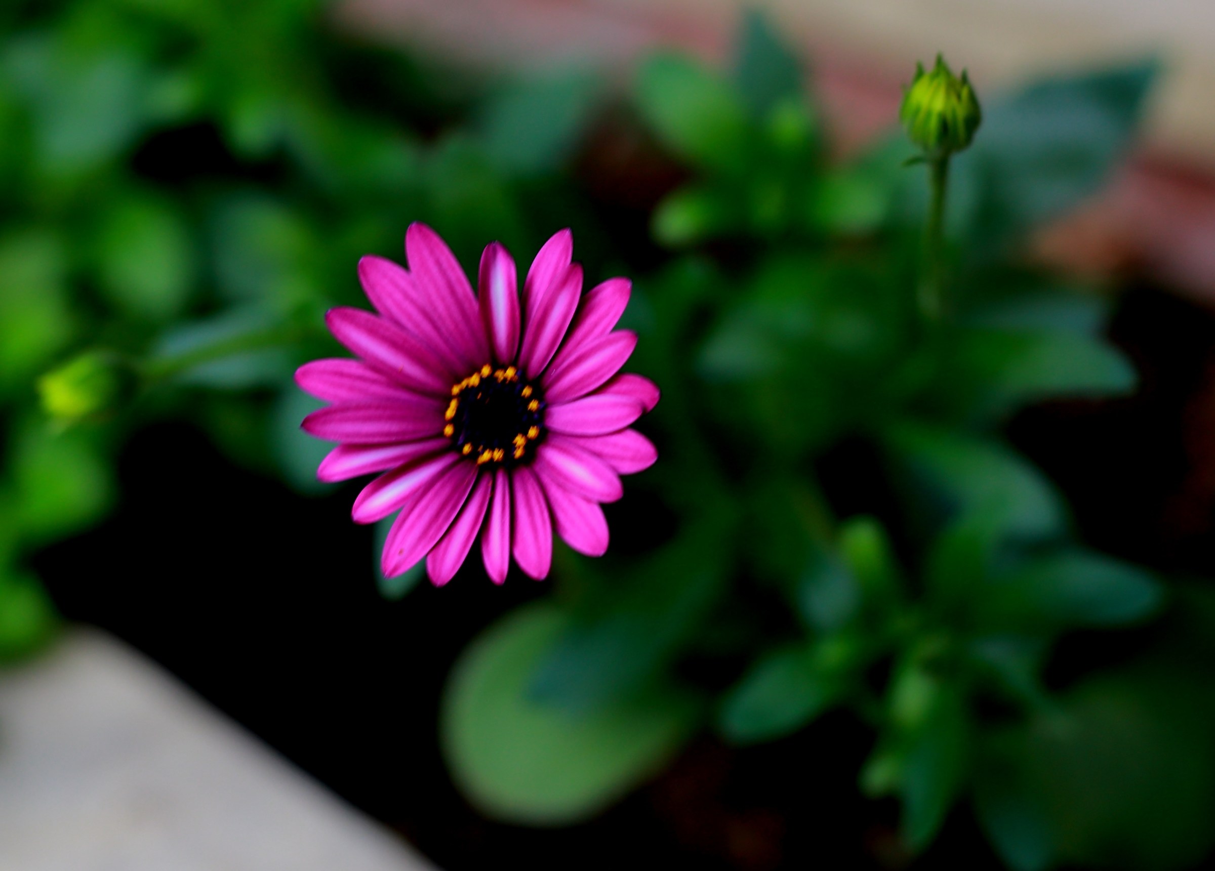 Taking revisited following the advice of those who know