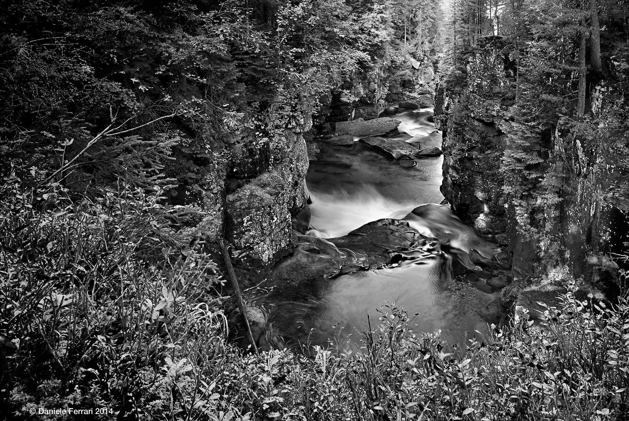 Gorge Travignolo in Paneveggio