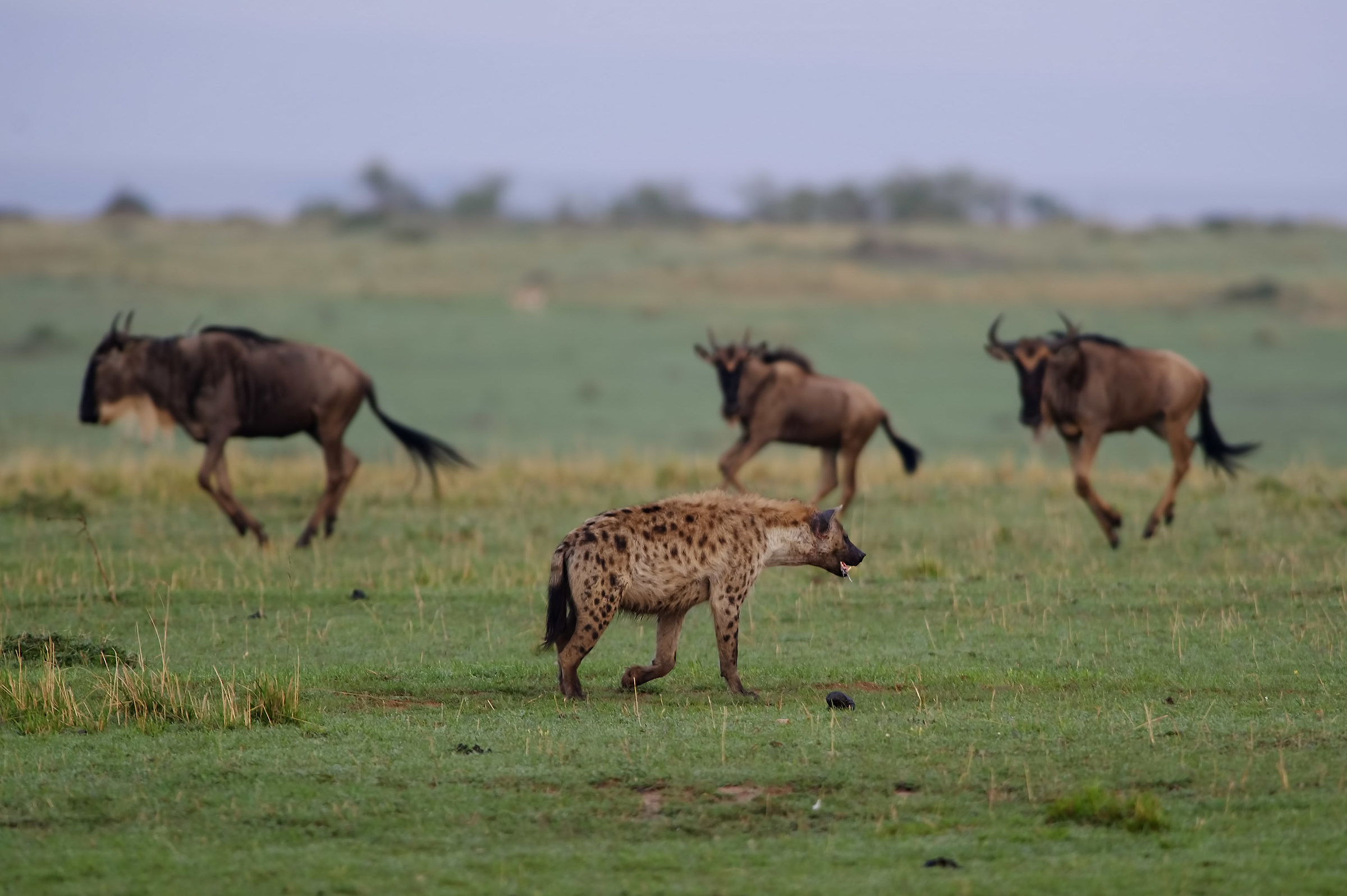 and 'better keep their distance