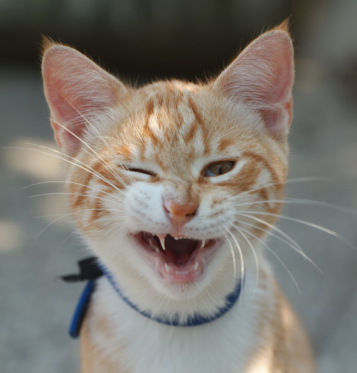 ti faccio paura eh...