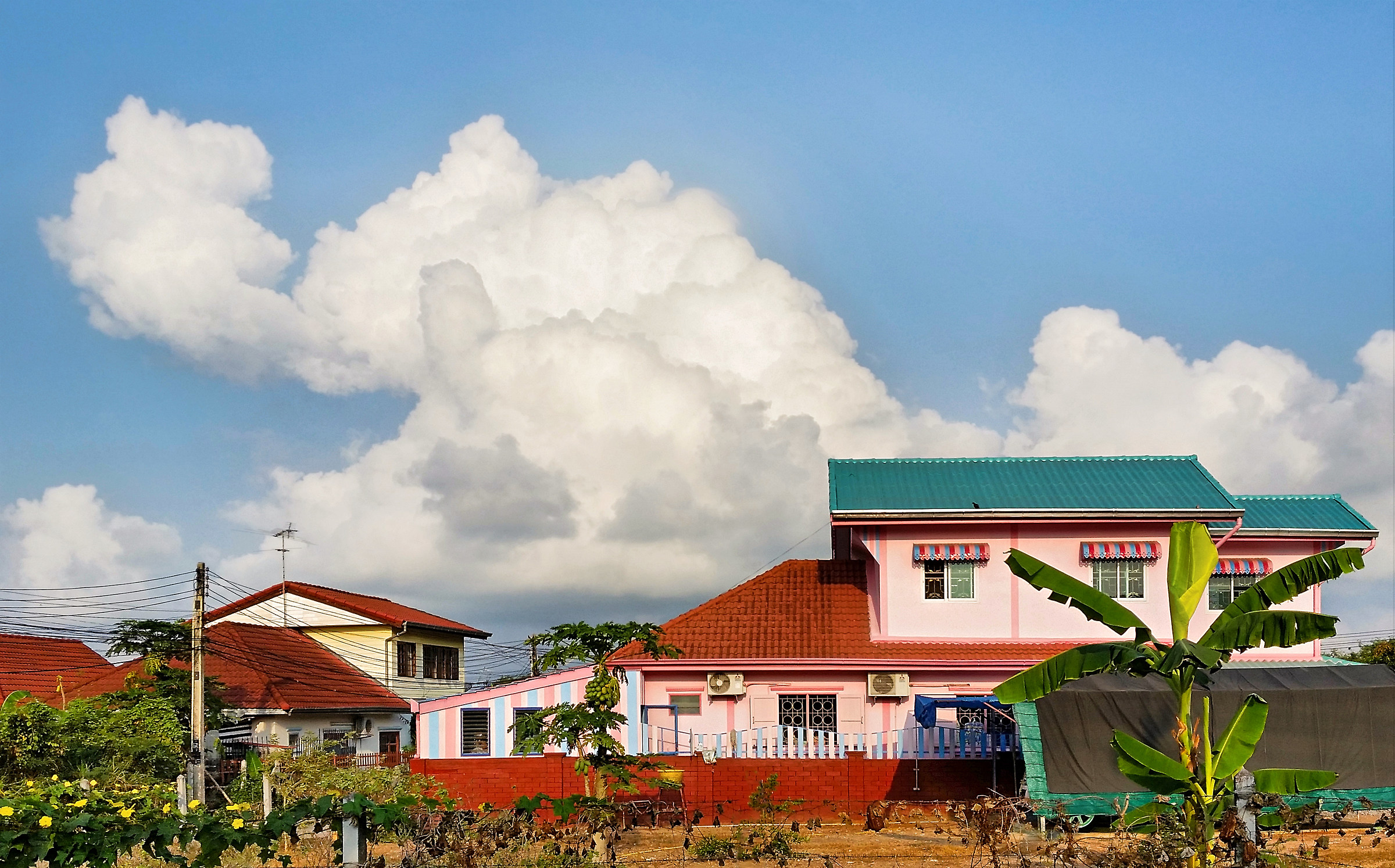 Pink house