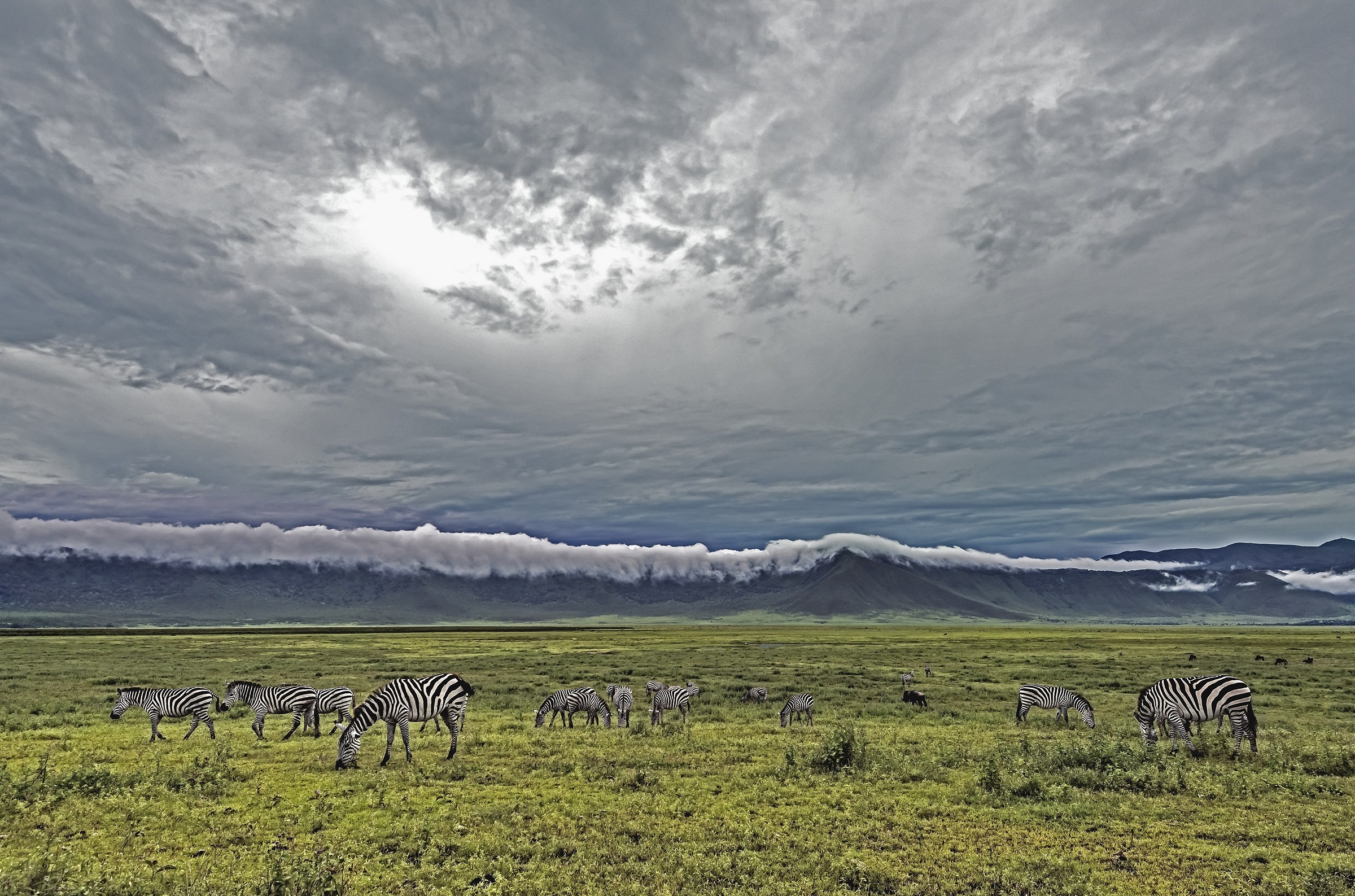 Tanzania 2017 - Ngorongoro crater