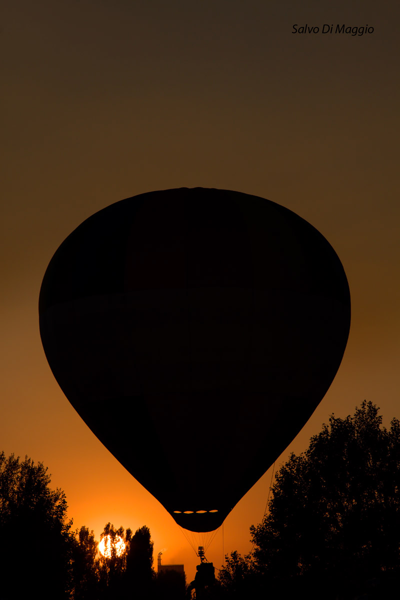 Balloons-Ferrara