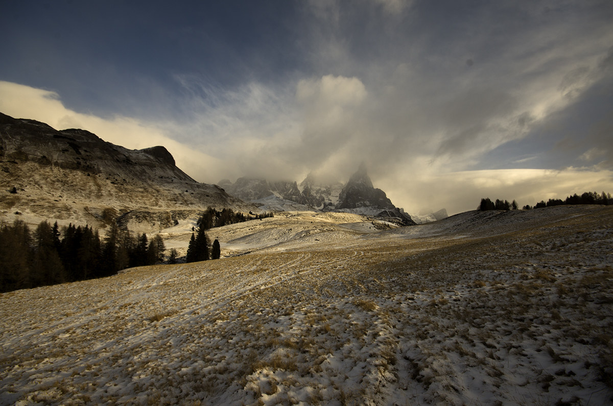 i prati di Juribello con le Pale di San Martino