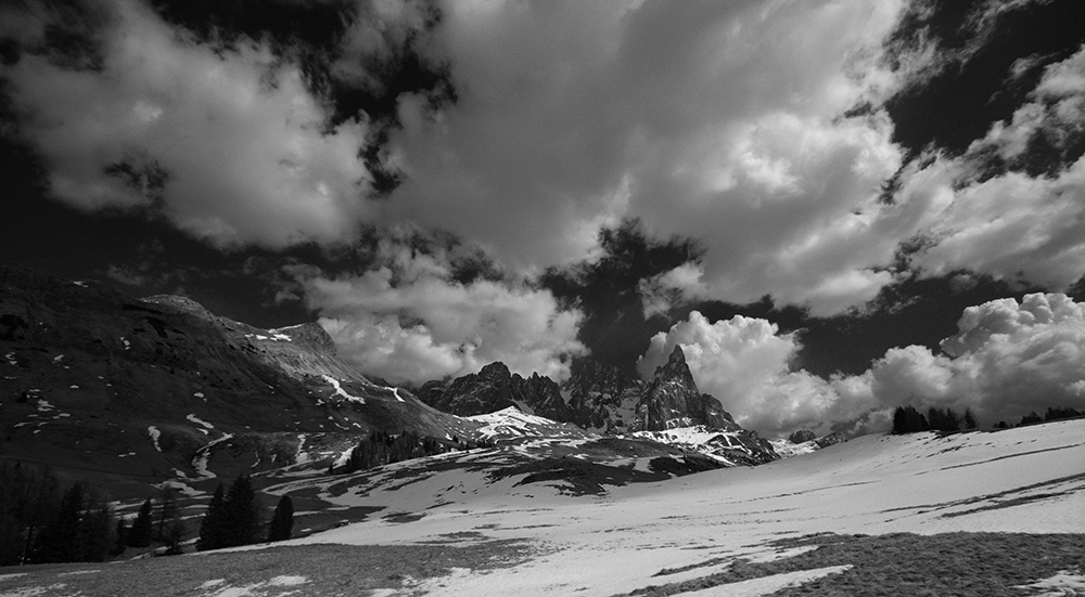 Pale di San Martino by Juribello meadows