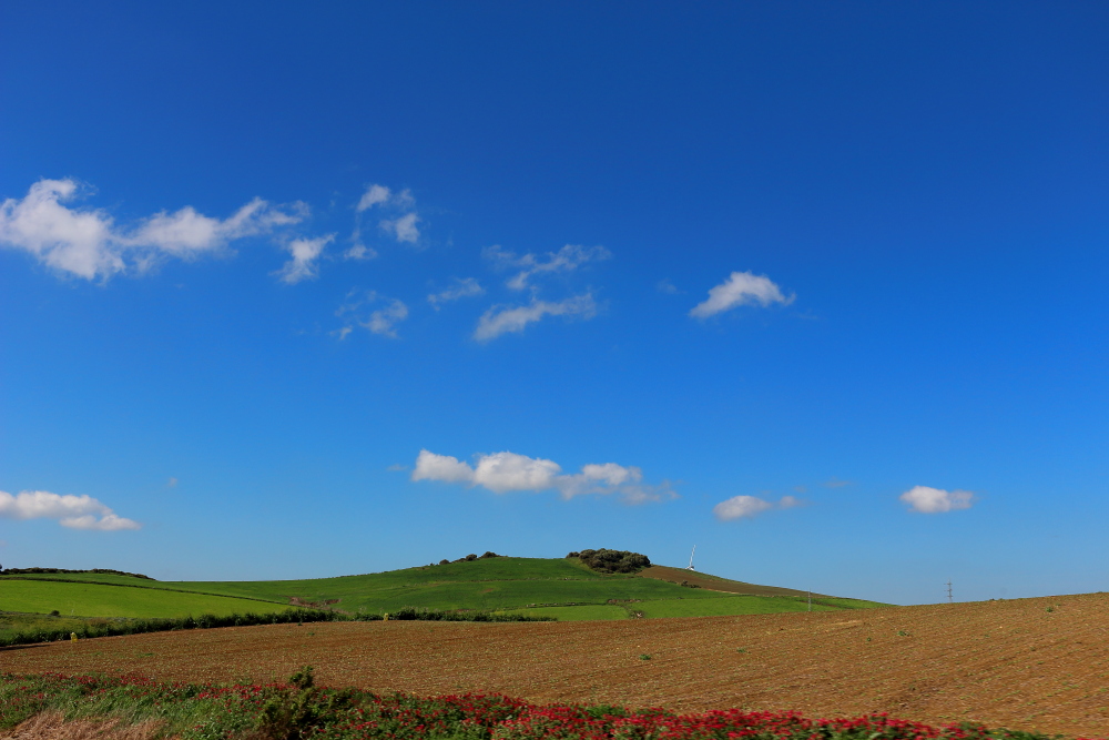 I remember Andalusia