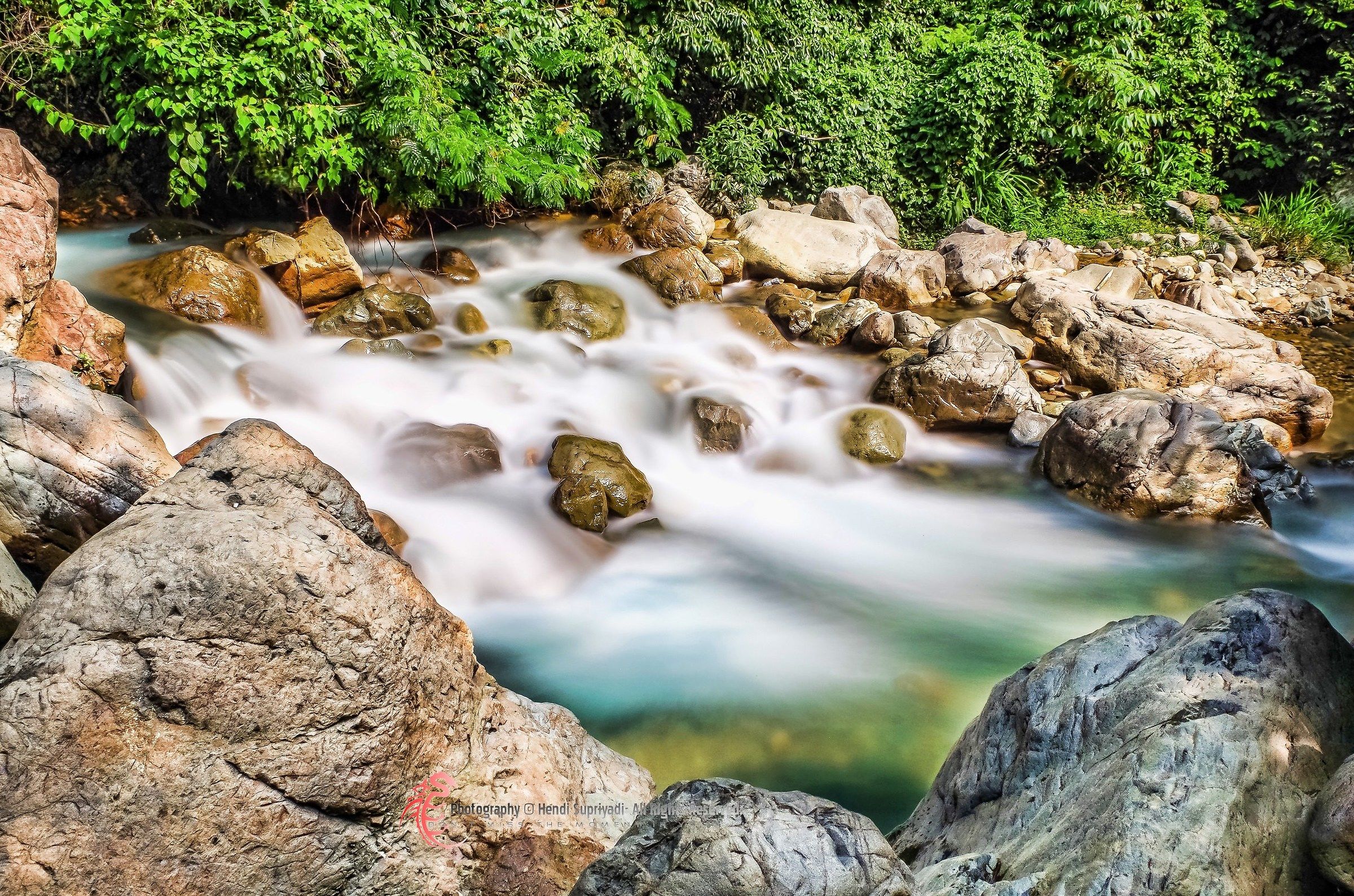 Water flow in forest
