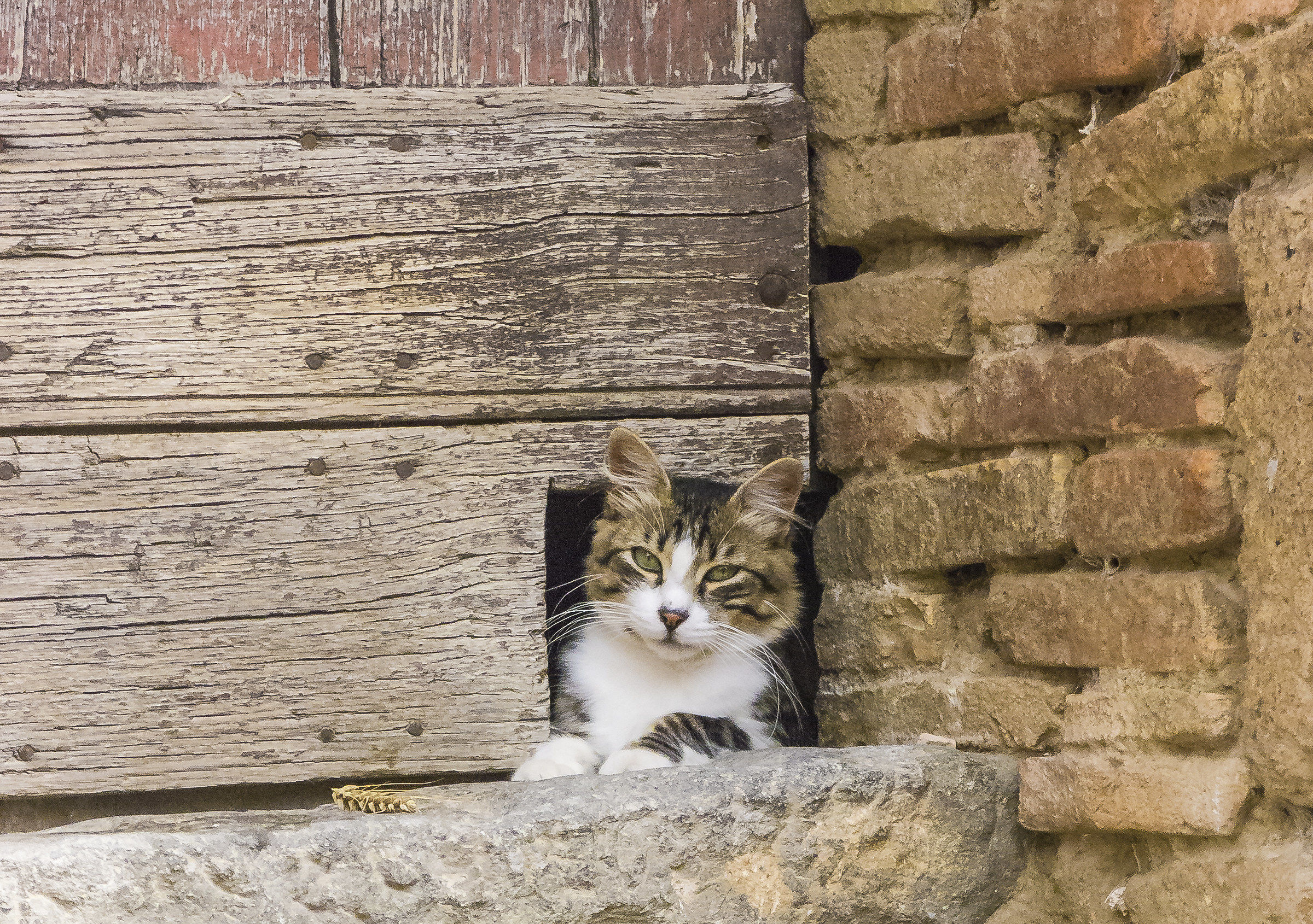 Well ... with this chaos impossible to rest a bit '!