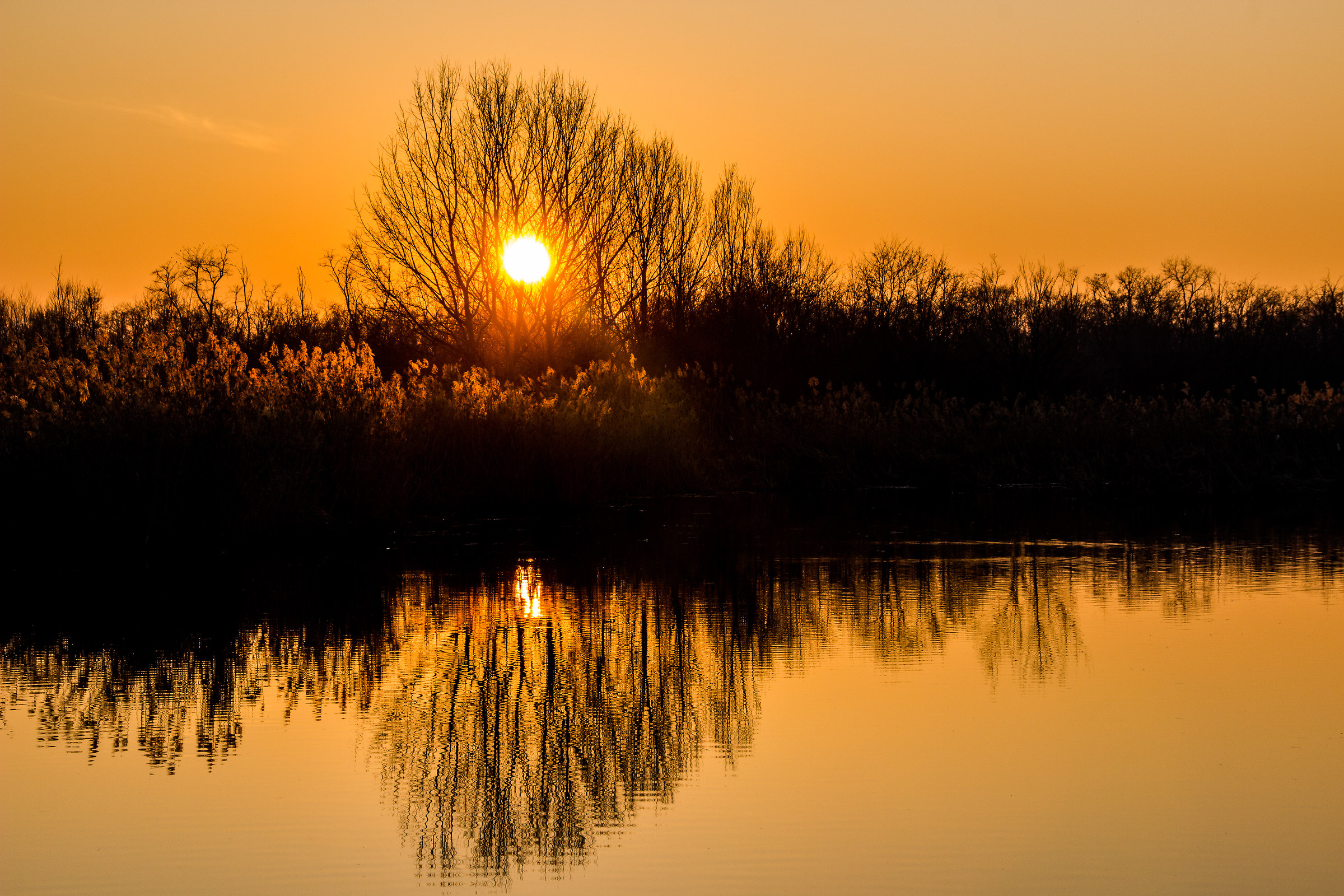specchio.......d'acqua!