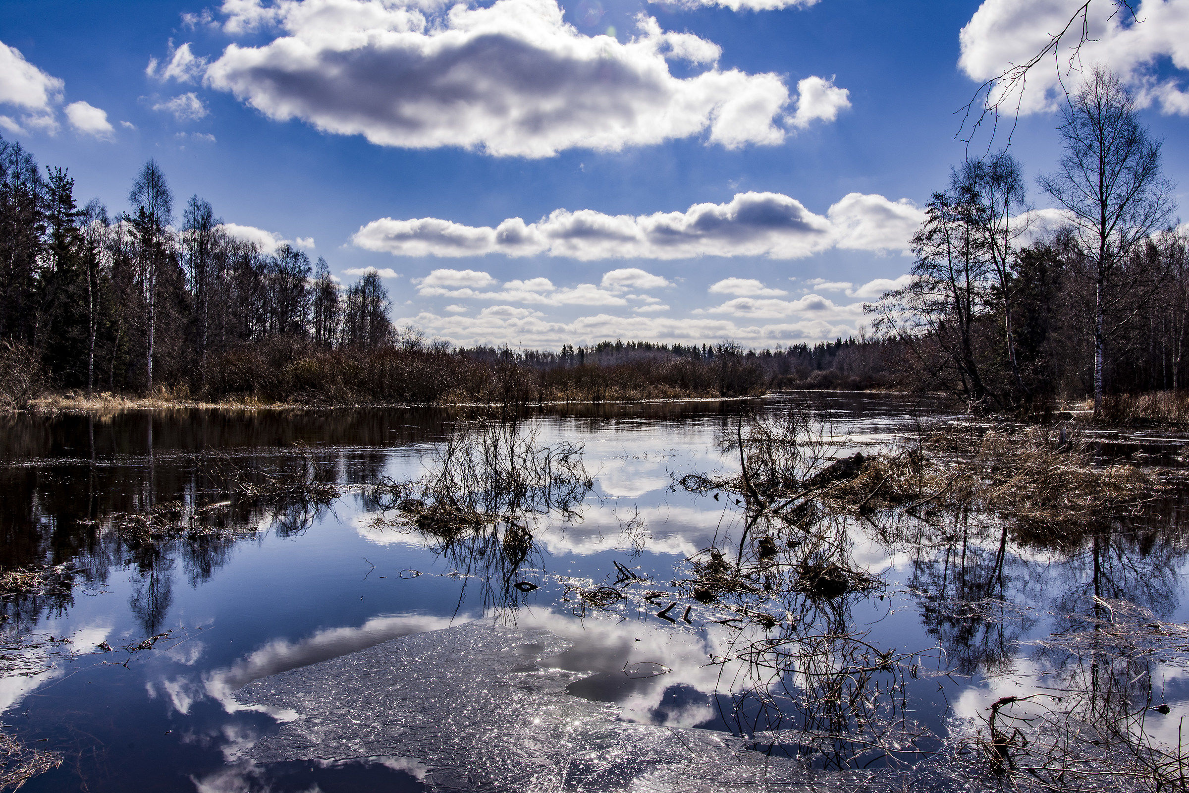 River in spring (Merikarvia / Finland)