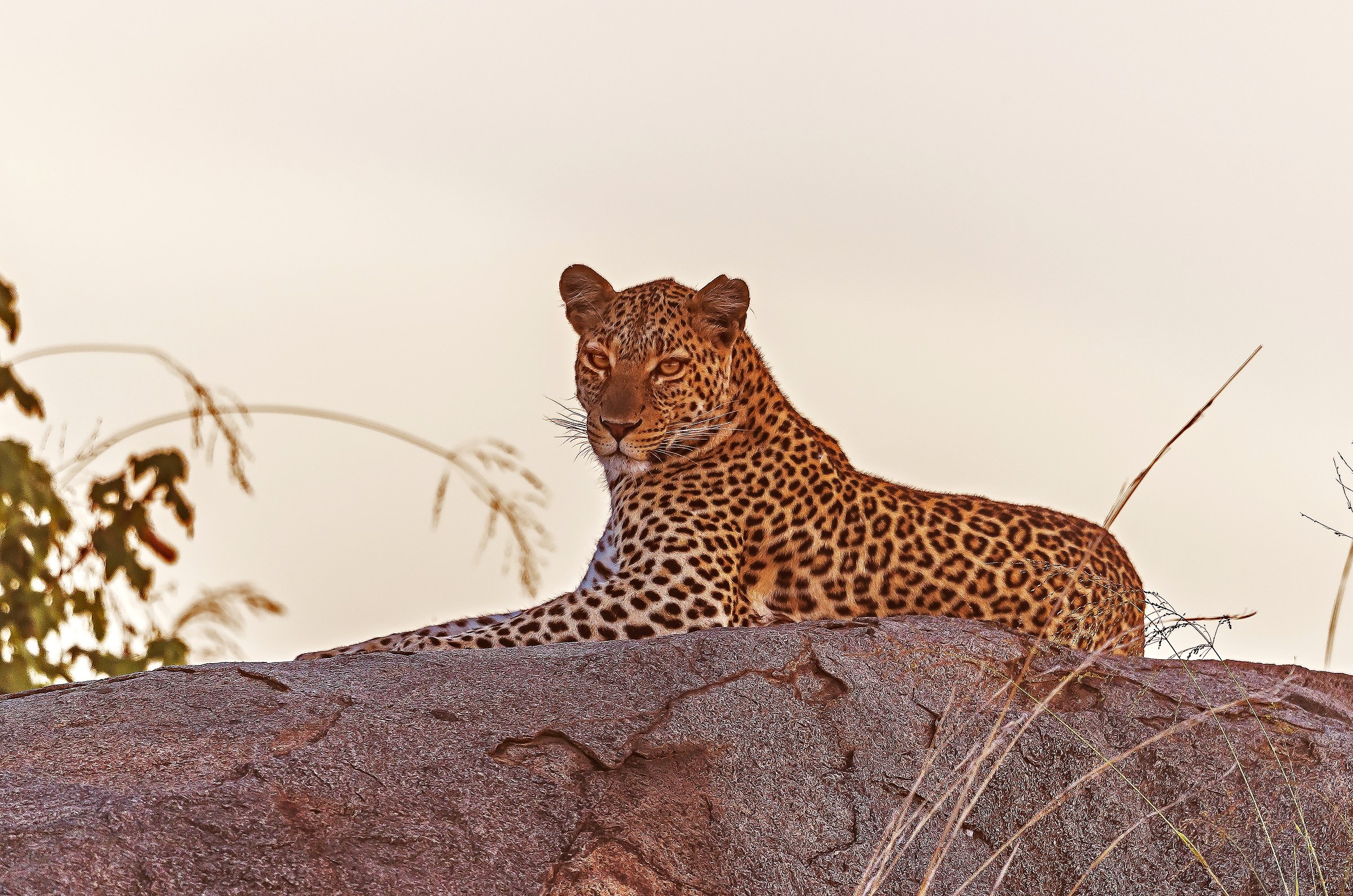 Tanzania 2017 - Tramonto