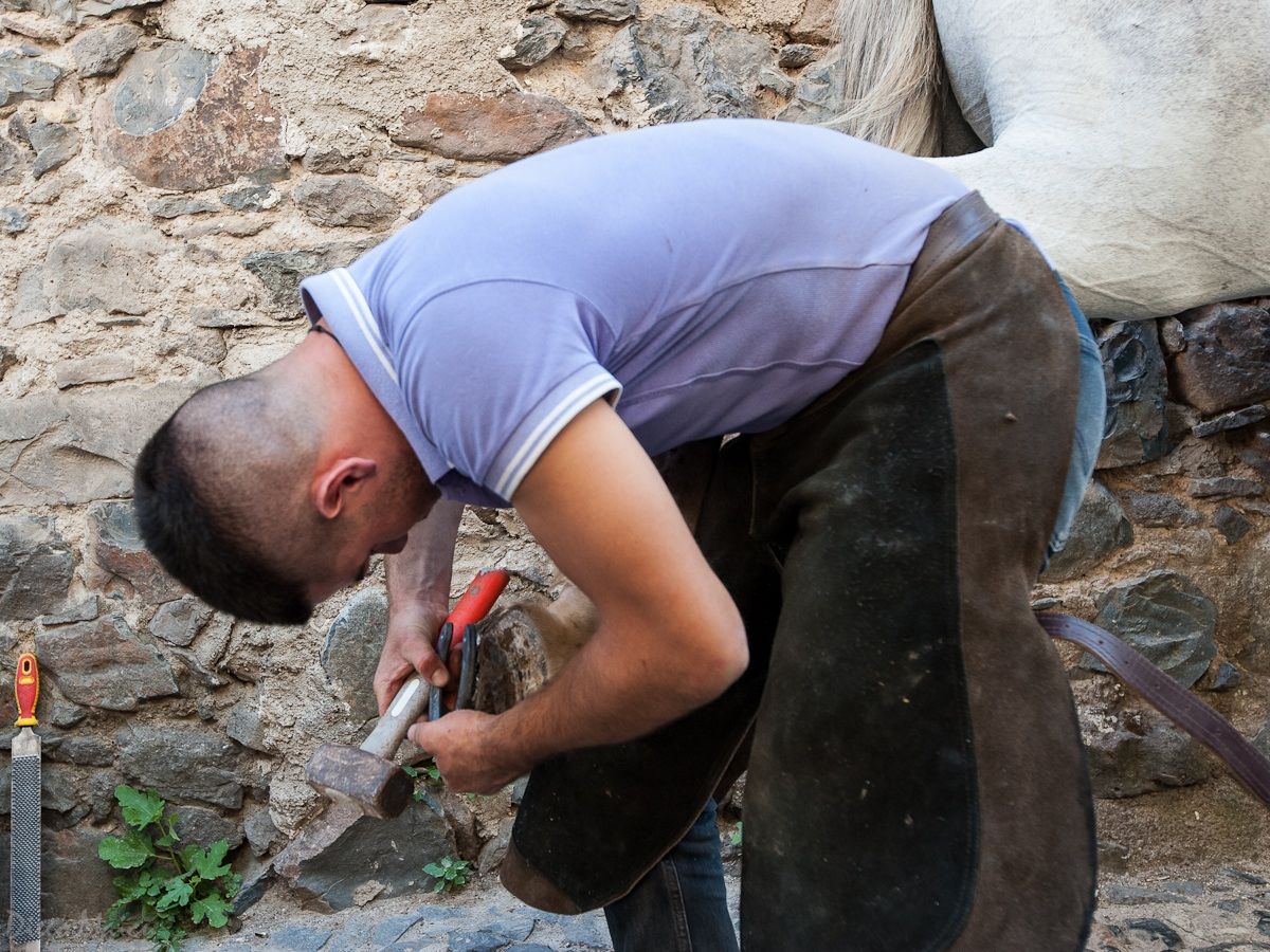 New shoes for the party