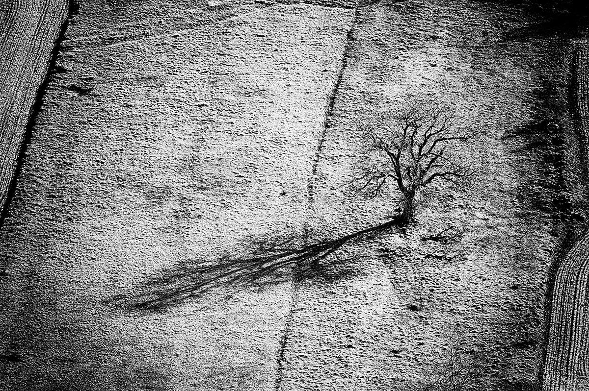 L'ombra lunga dell'alba