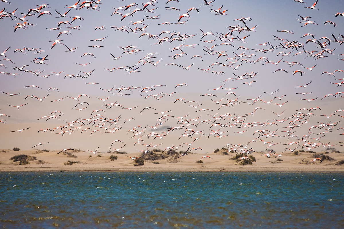 Bombardieri di bellezza!
