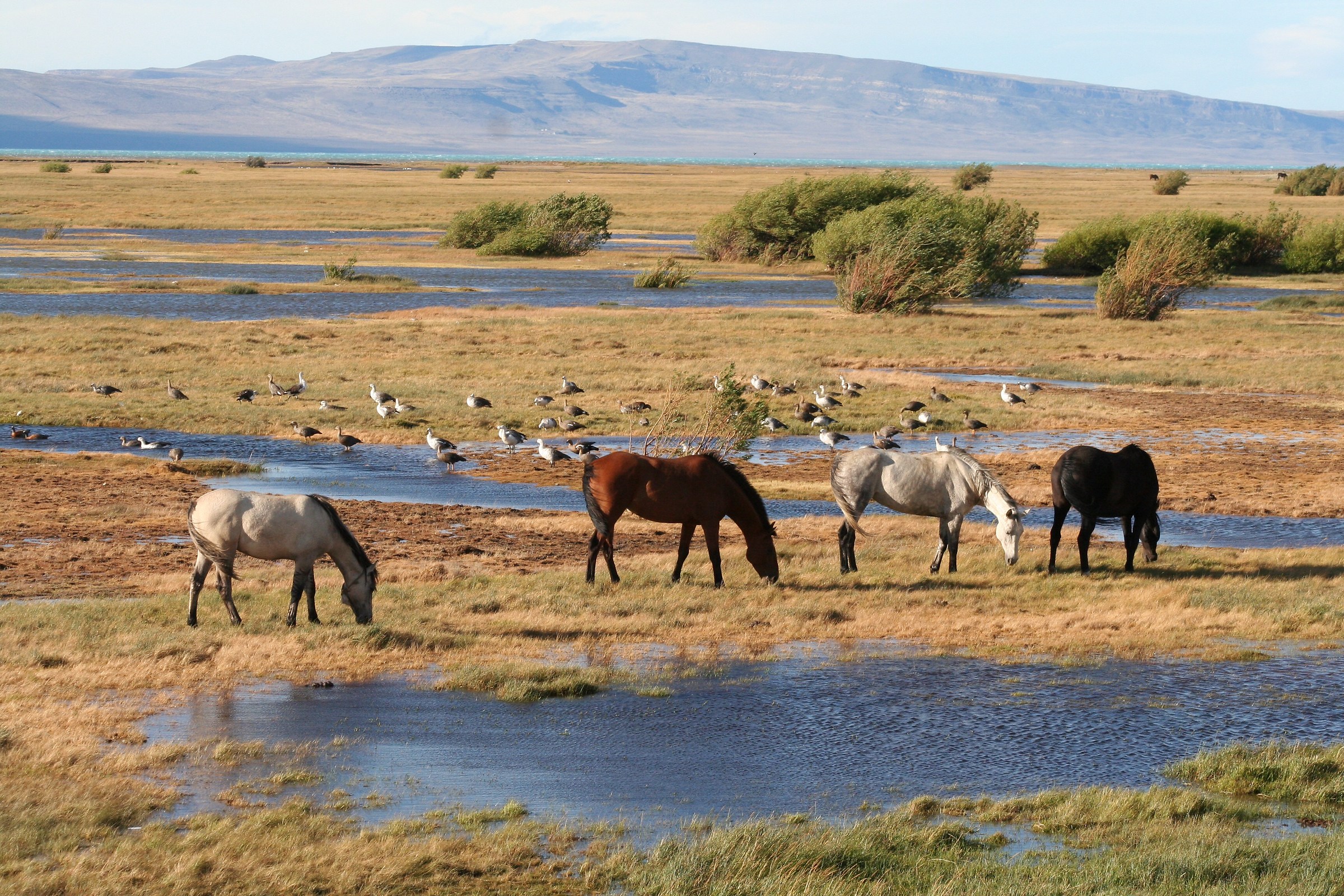 Argentine Lake