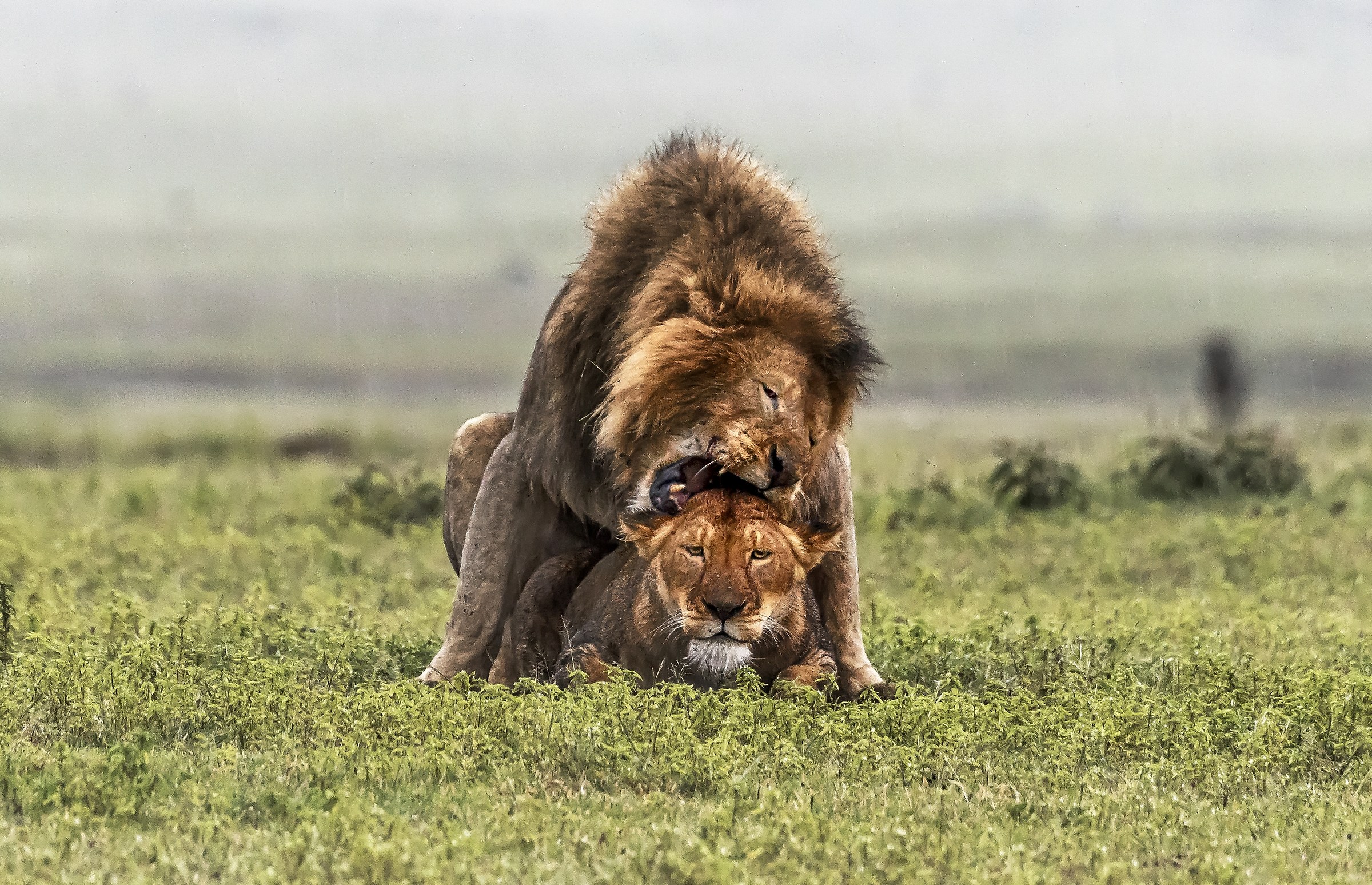 Tanzania 2017 - Senza parole