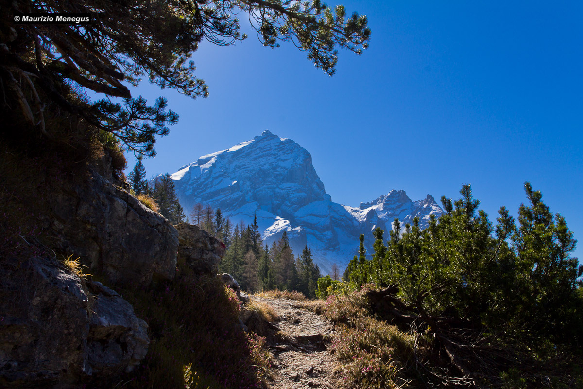 The King backlit - Monte Antelao