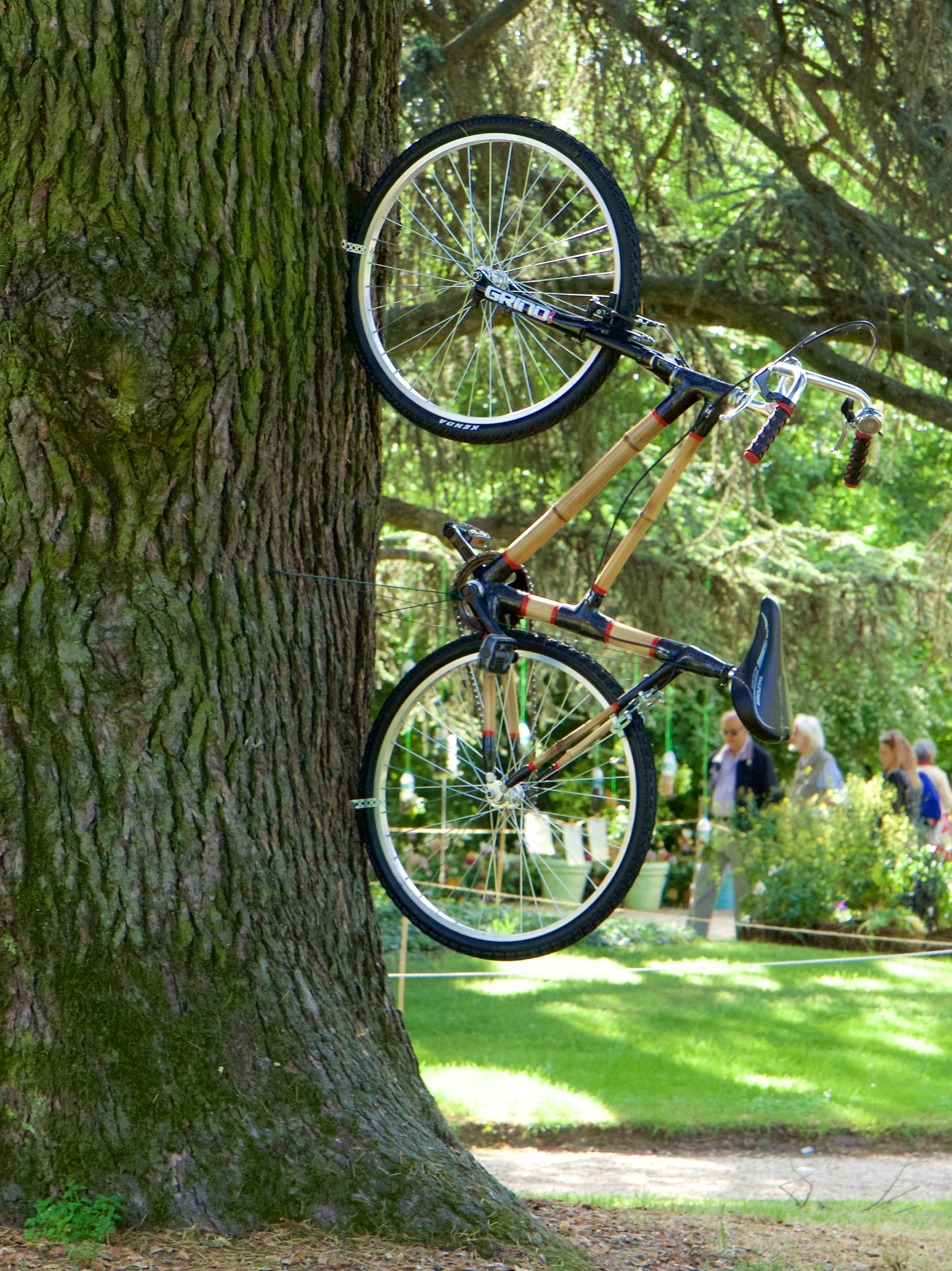 where I leave the bicycle ?!