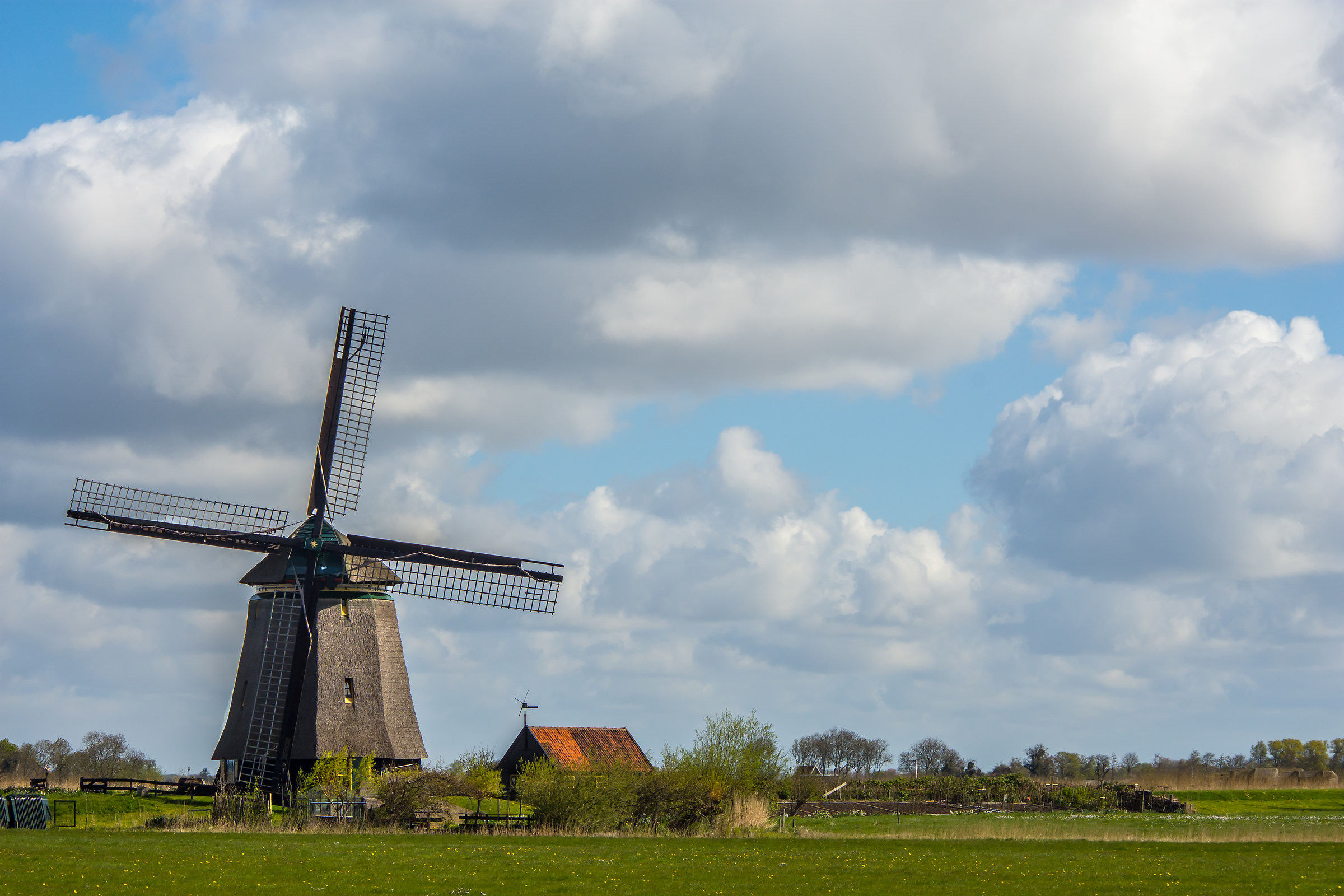 Bosmolen Egmondermeer