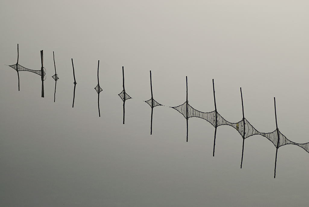 park of the po delta fishing nets