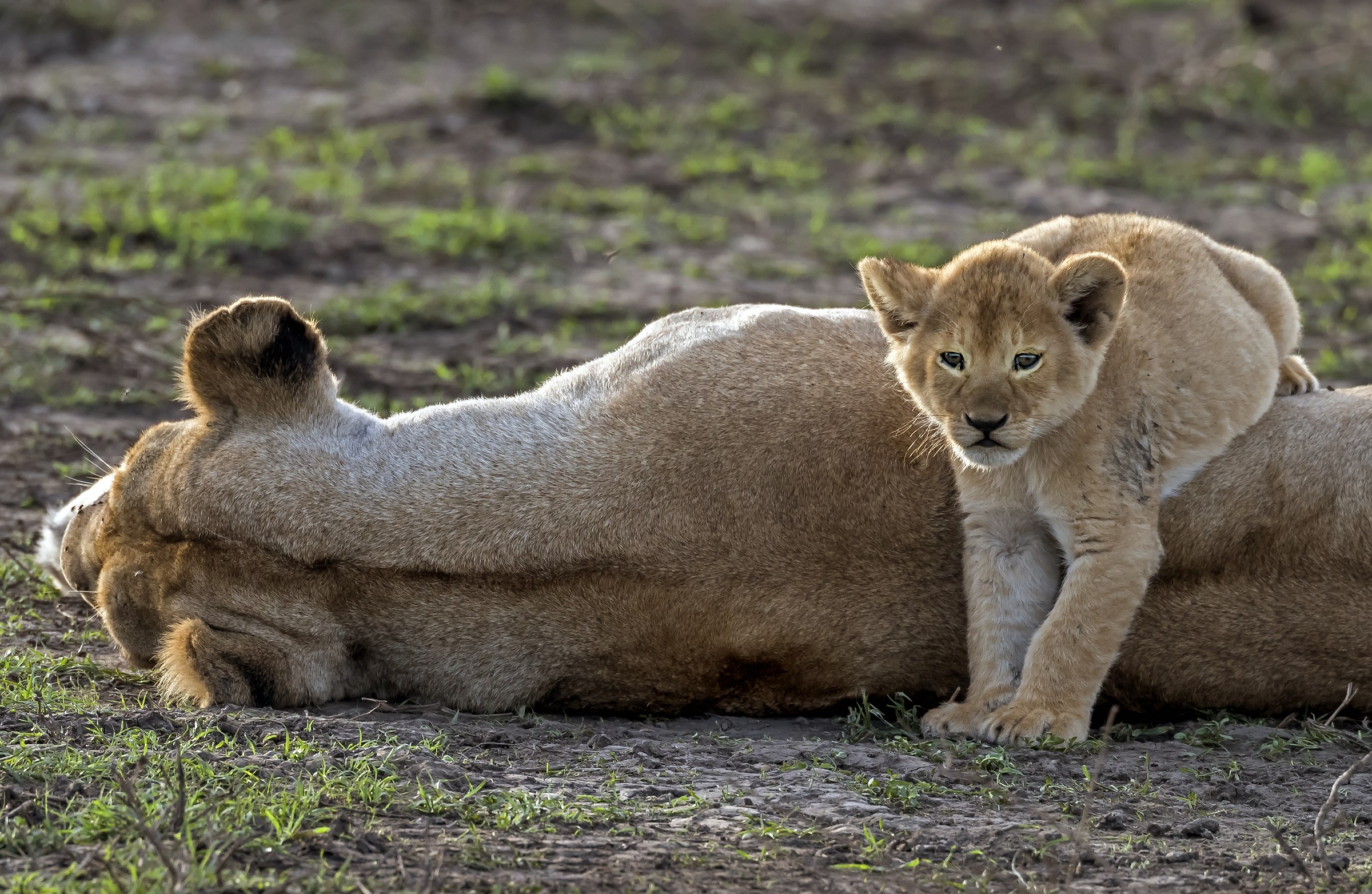 Tanzania 2017 - Con la mamma