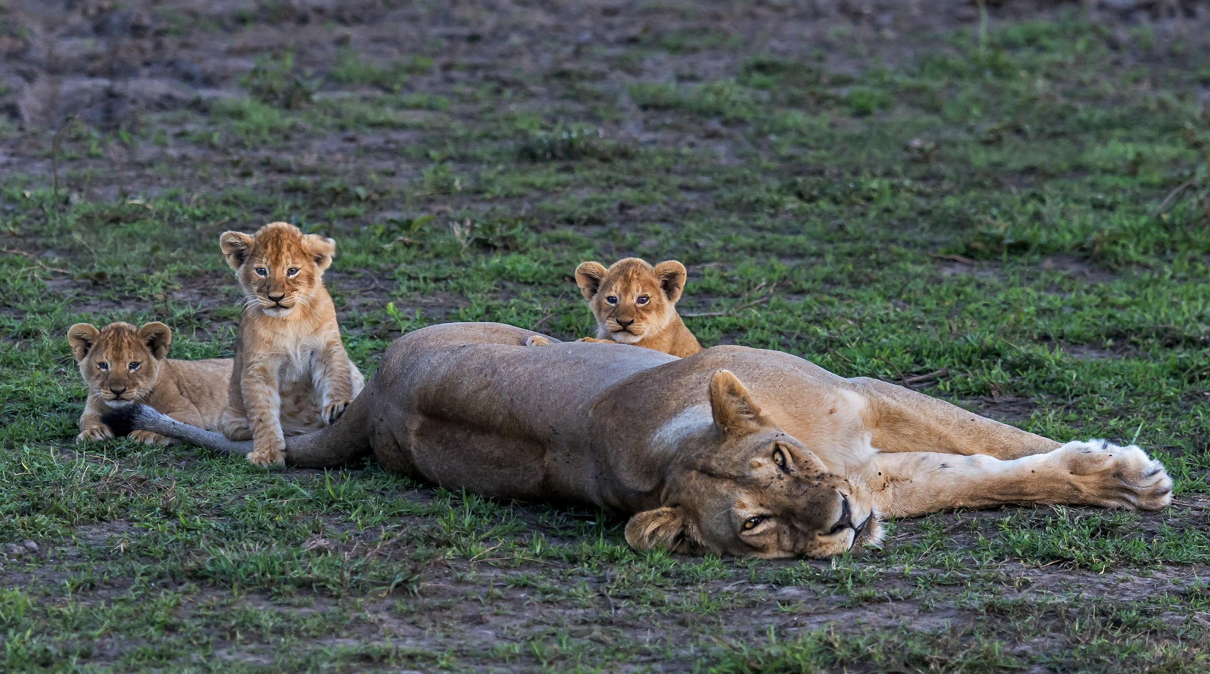 Tanzania 2017 - Sguardi