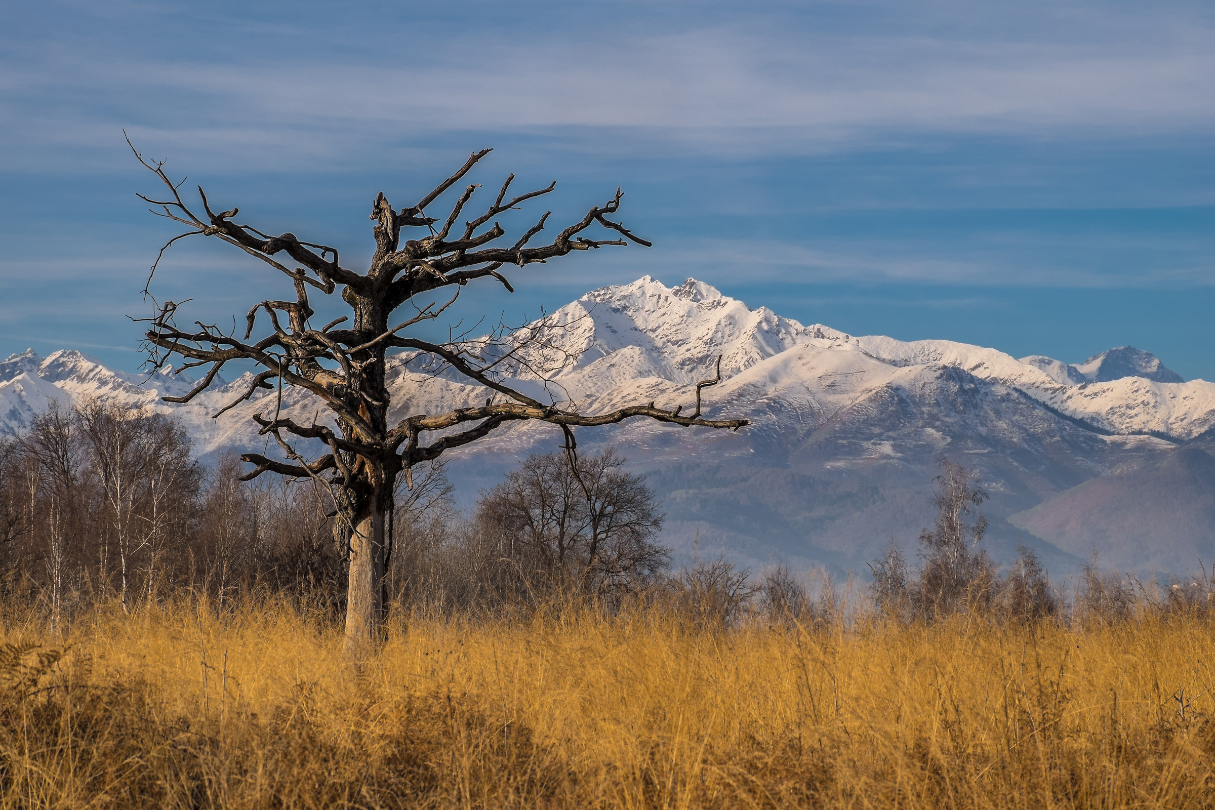 La savana africana in Piemonte