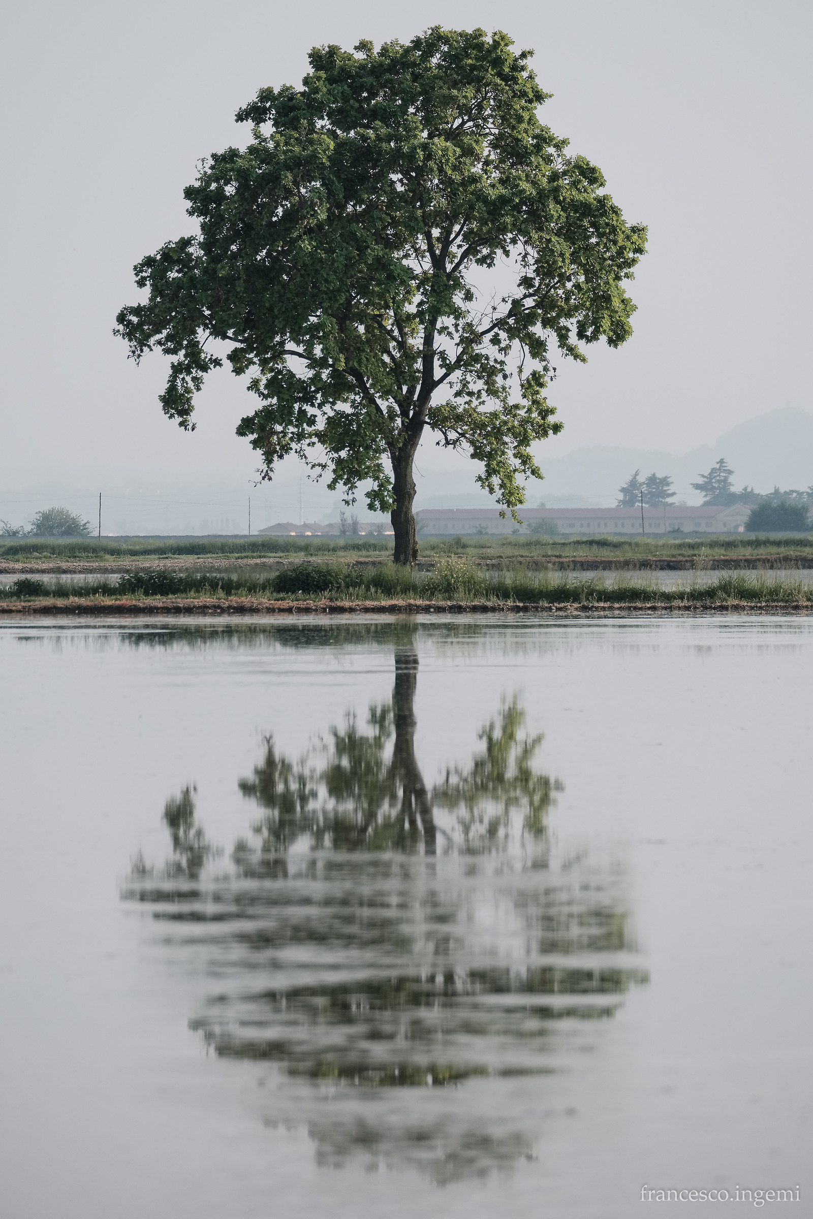 Every year I find myself.