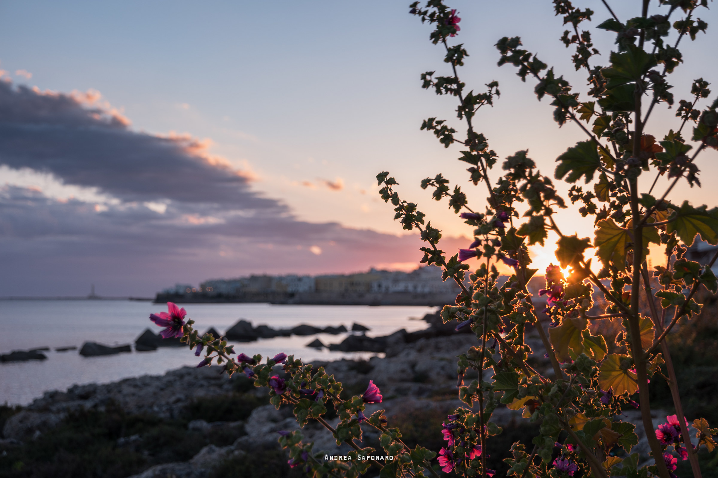 Easter Monday 2017 - Gallipoli