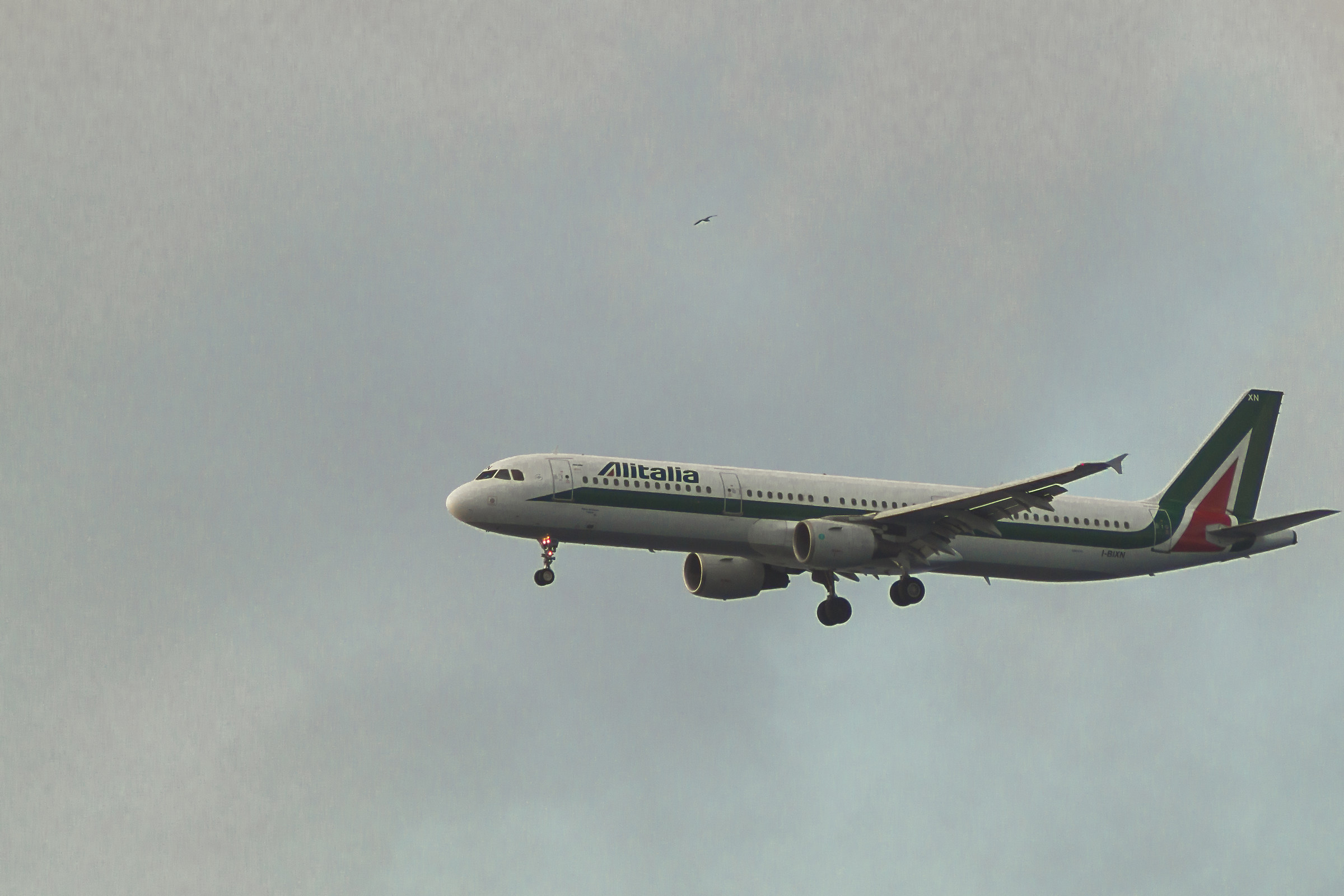 L'uomo copia la natura