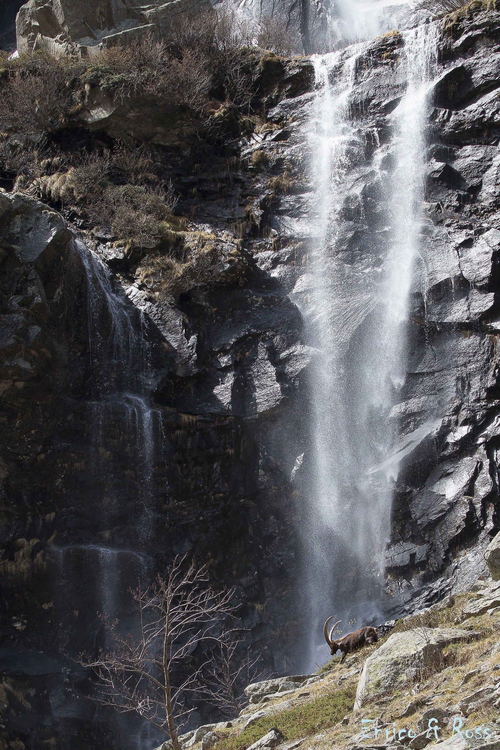 Magic in the valley of Sea