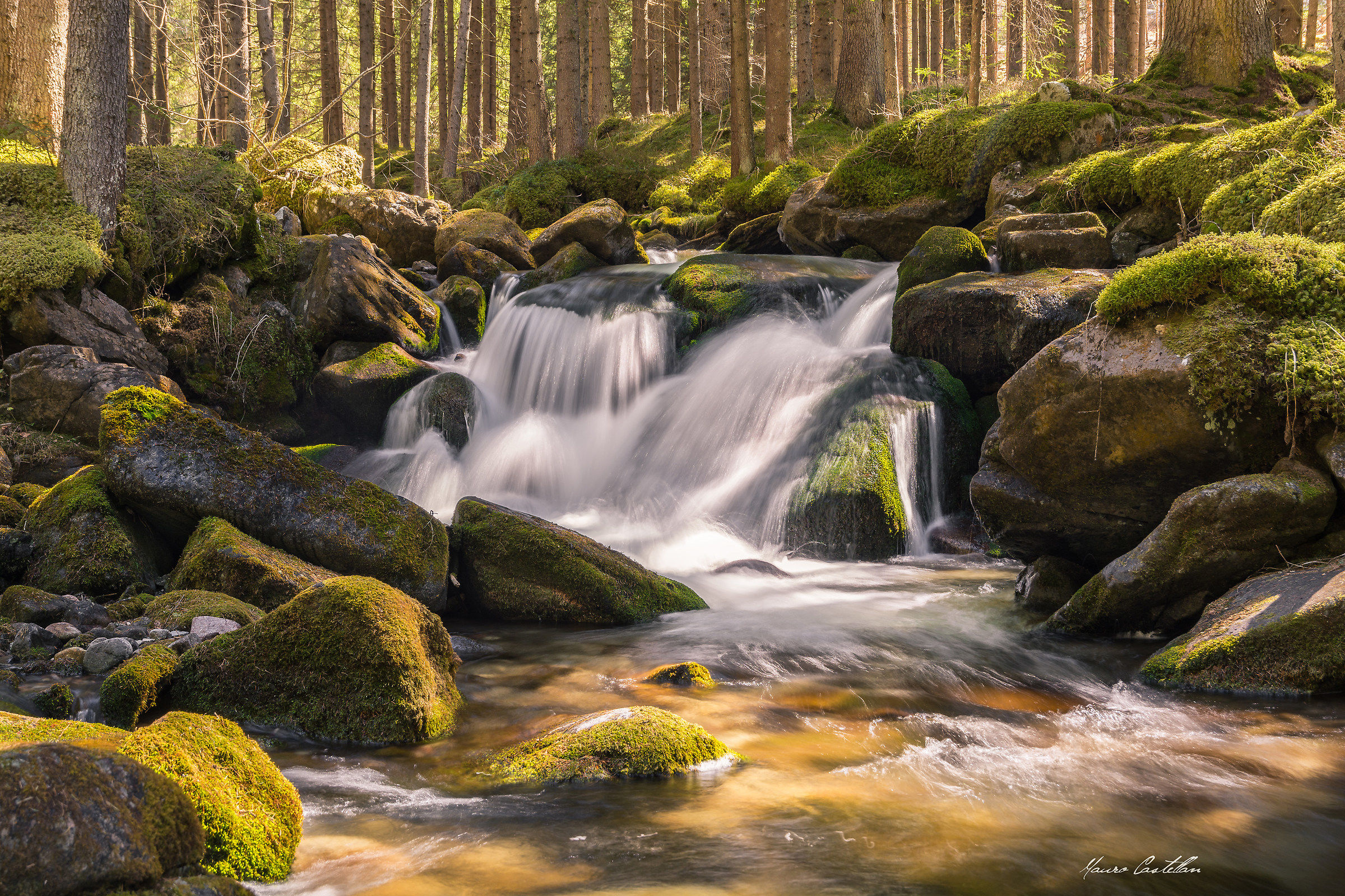 The small waterfall in the woods