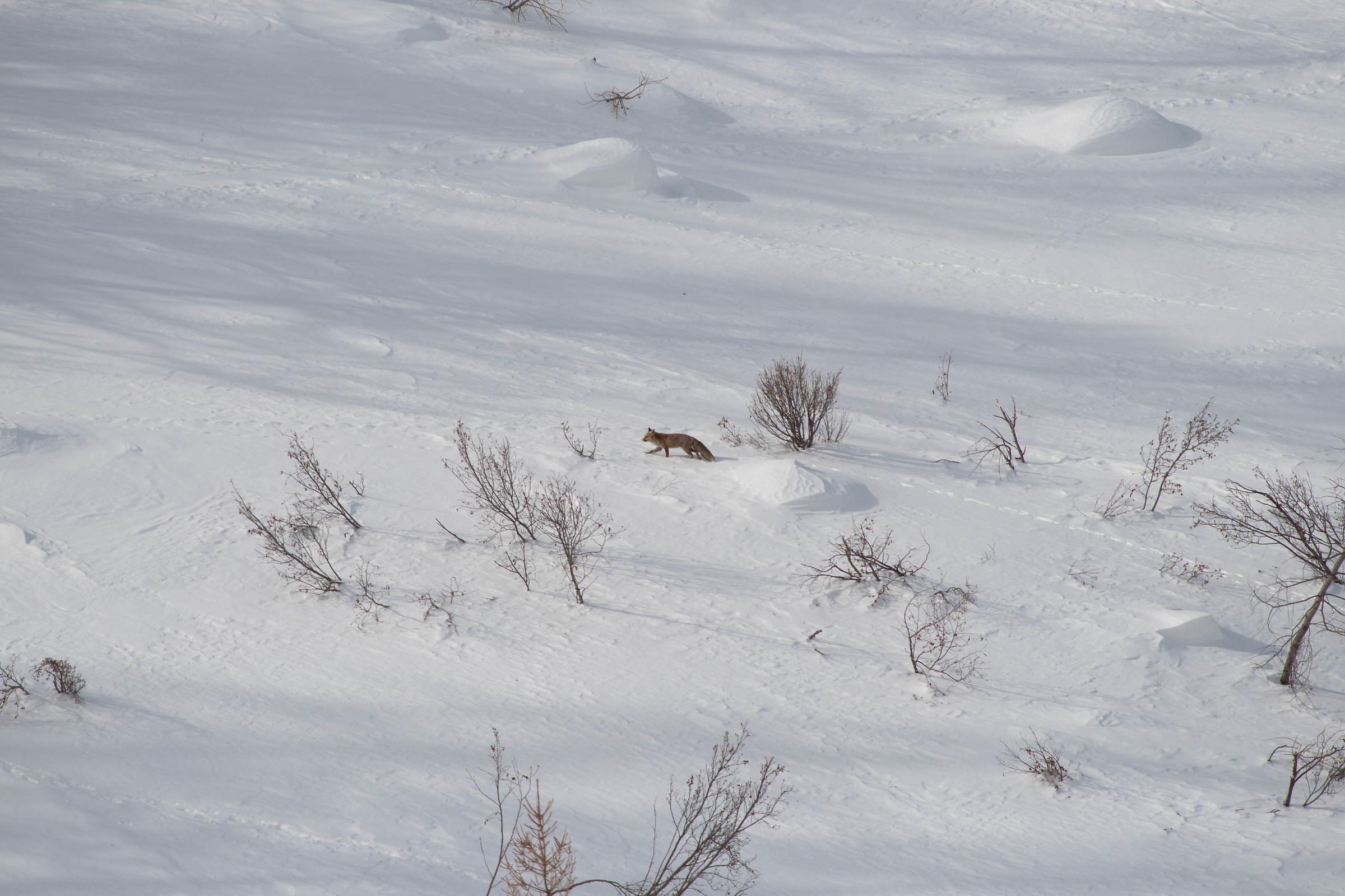 Volpe at the bottom of the valley, Chiapili above