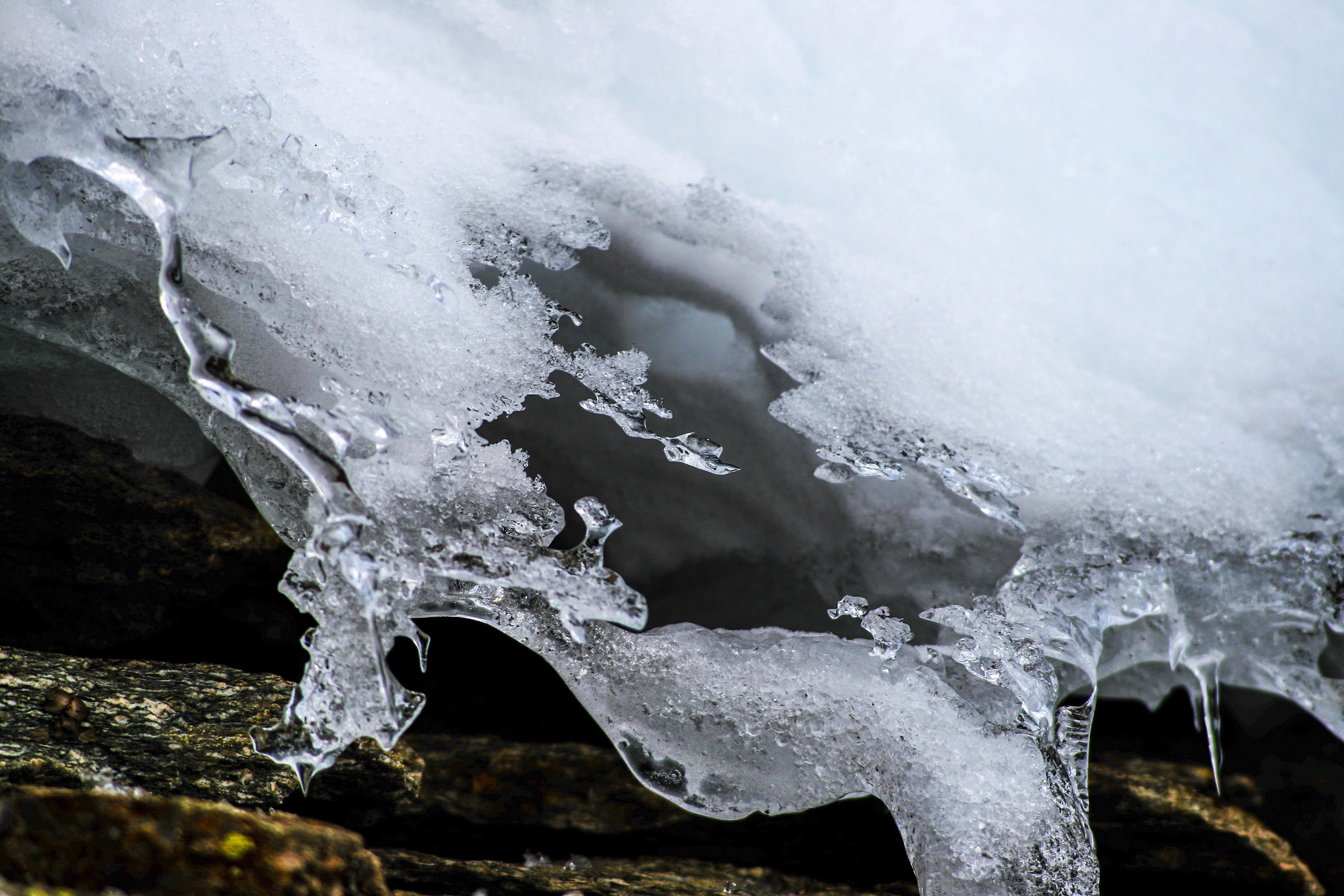 Ice Gem, Chiapili above