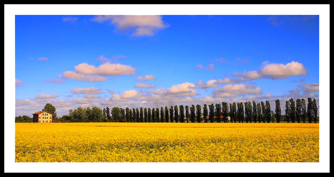 La casa in via del Campo