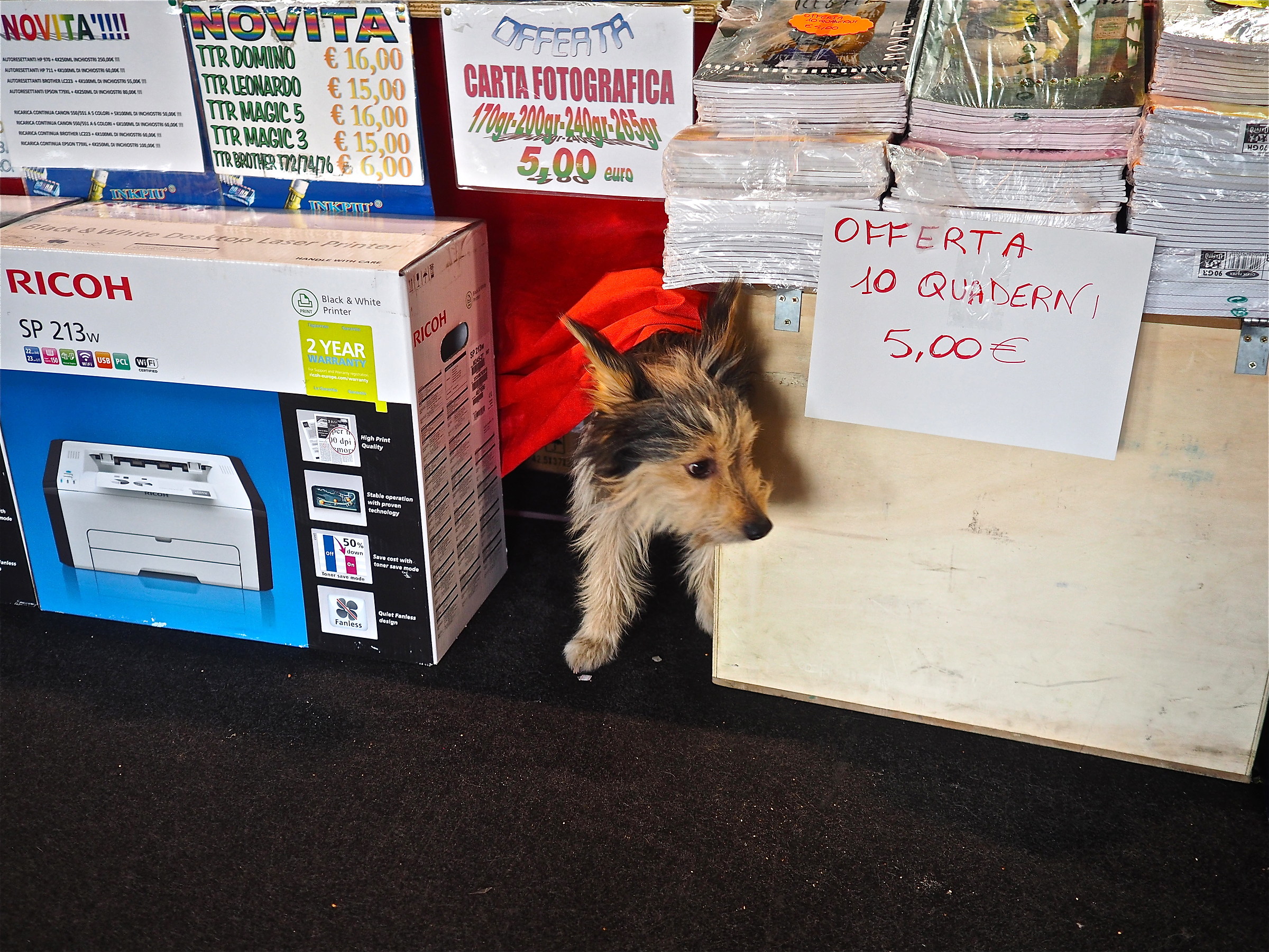 Who is there??? Ok ahead !!!!!!!