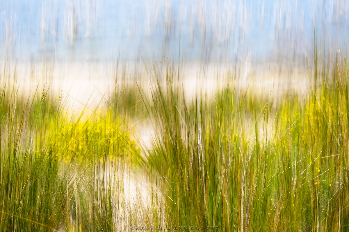 The lake in festival