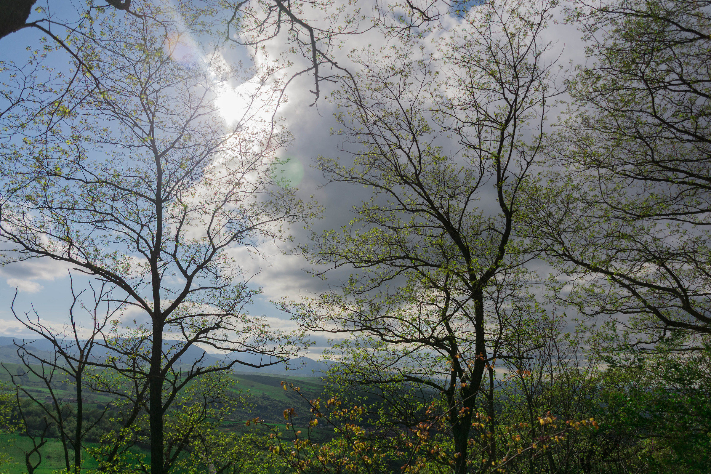 Lagopesole - Vulture (Basilicata PZ)